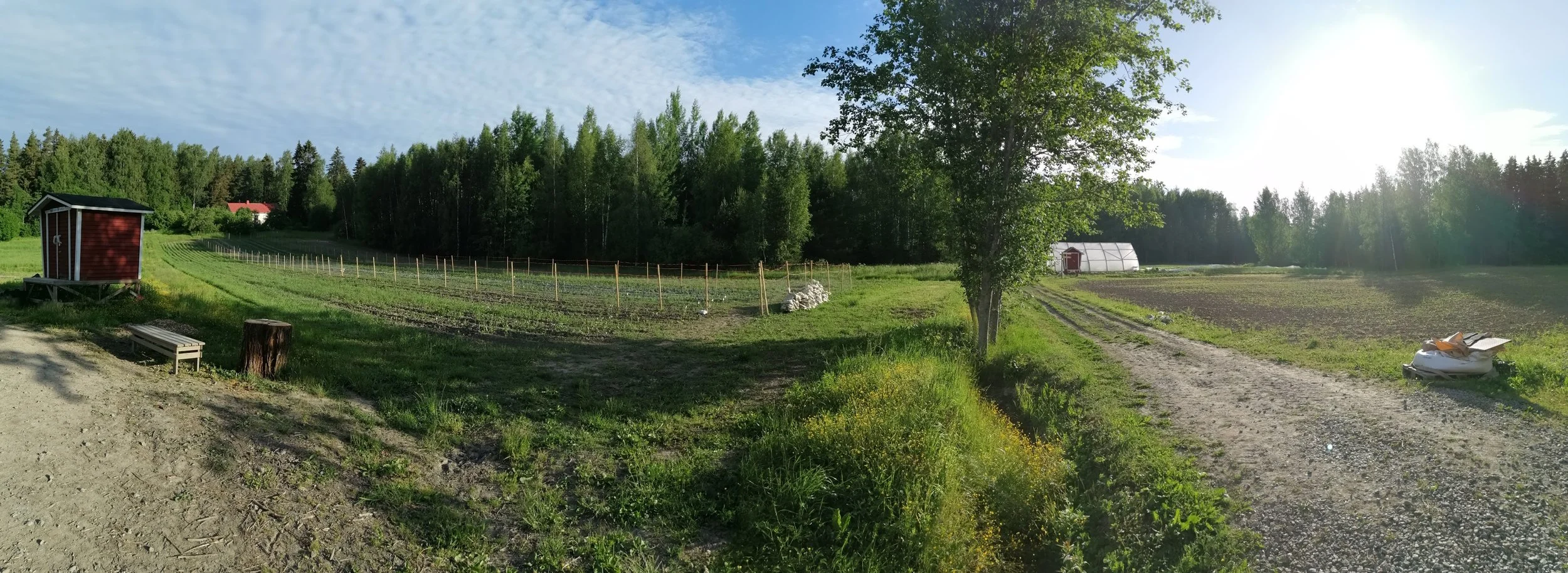 Kumppanuusmaataloudesta huoltovarmuutta ja riskienhallintaa muuttuviin maailmantilanteisiin