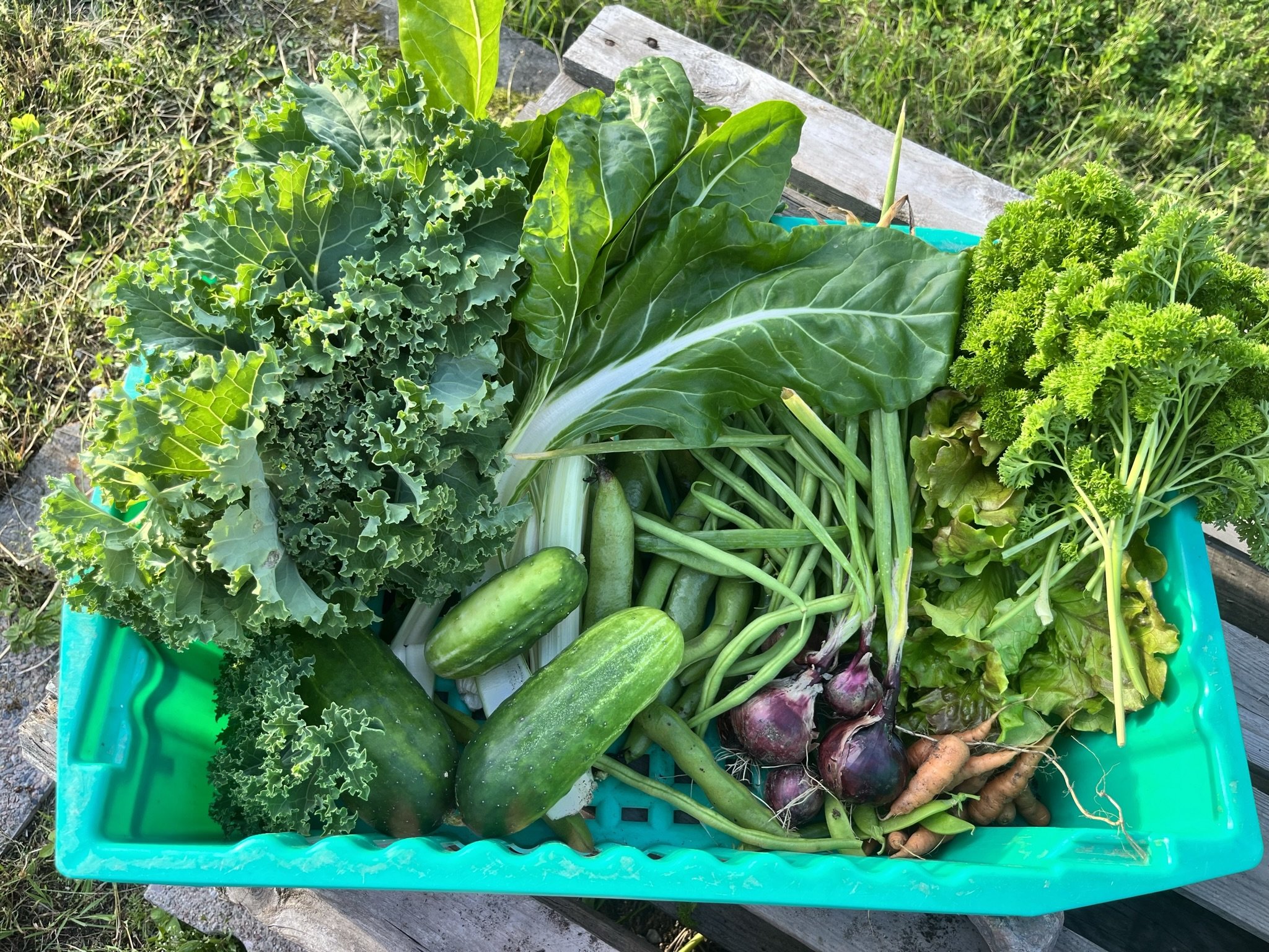 Sadon hyödyntäminen