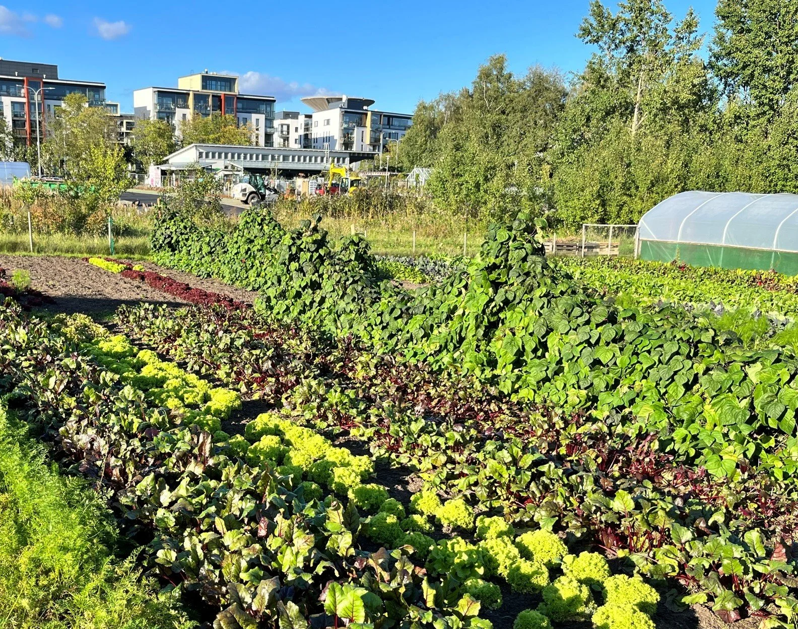 Kestävät agroekologiset viljelymenetelmät