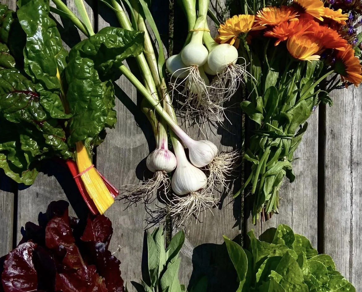 Satomyynti ja peltokahvila