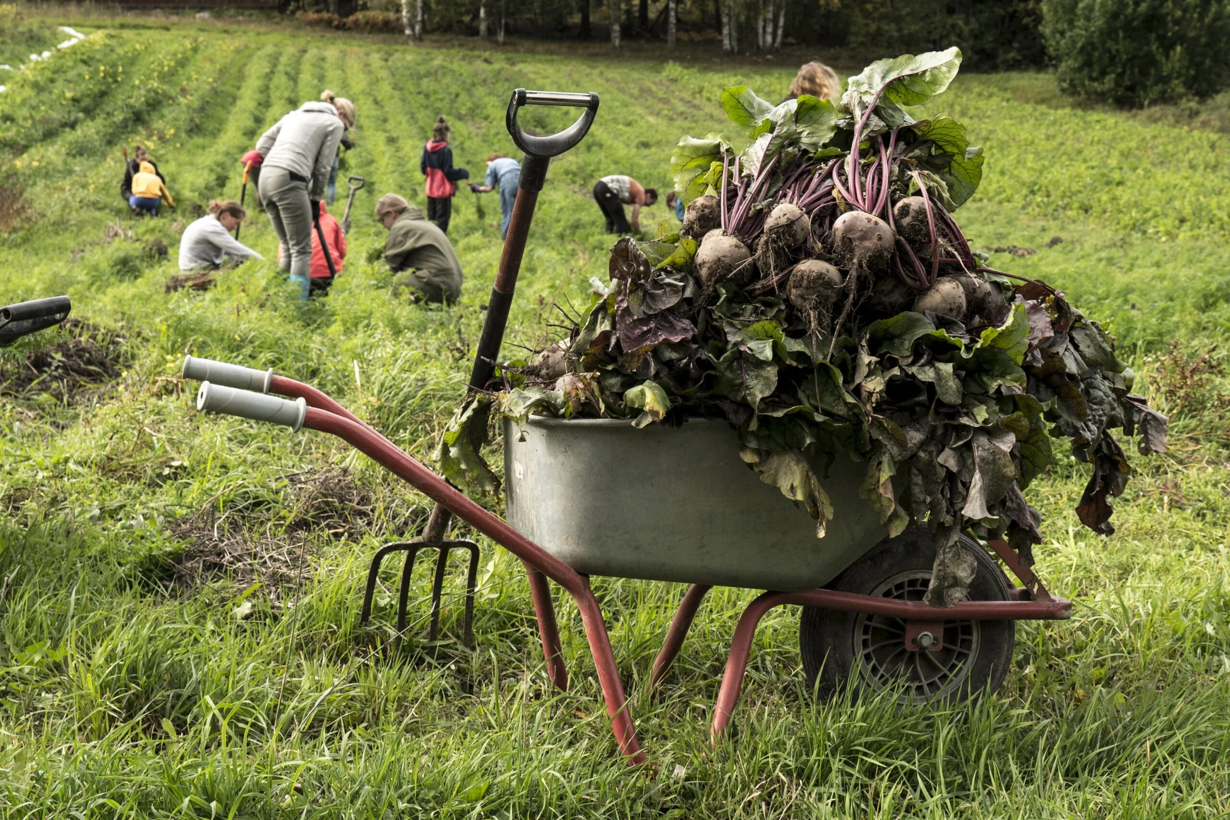 Pieni muutos, suuri vaikutus