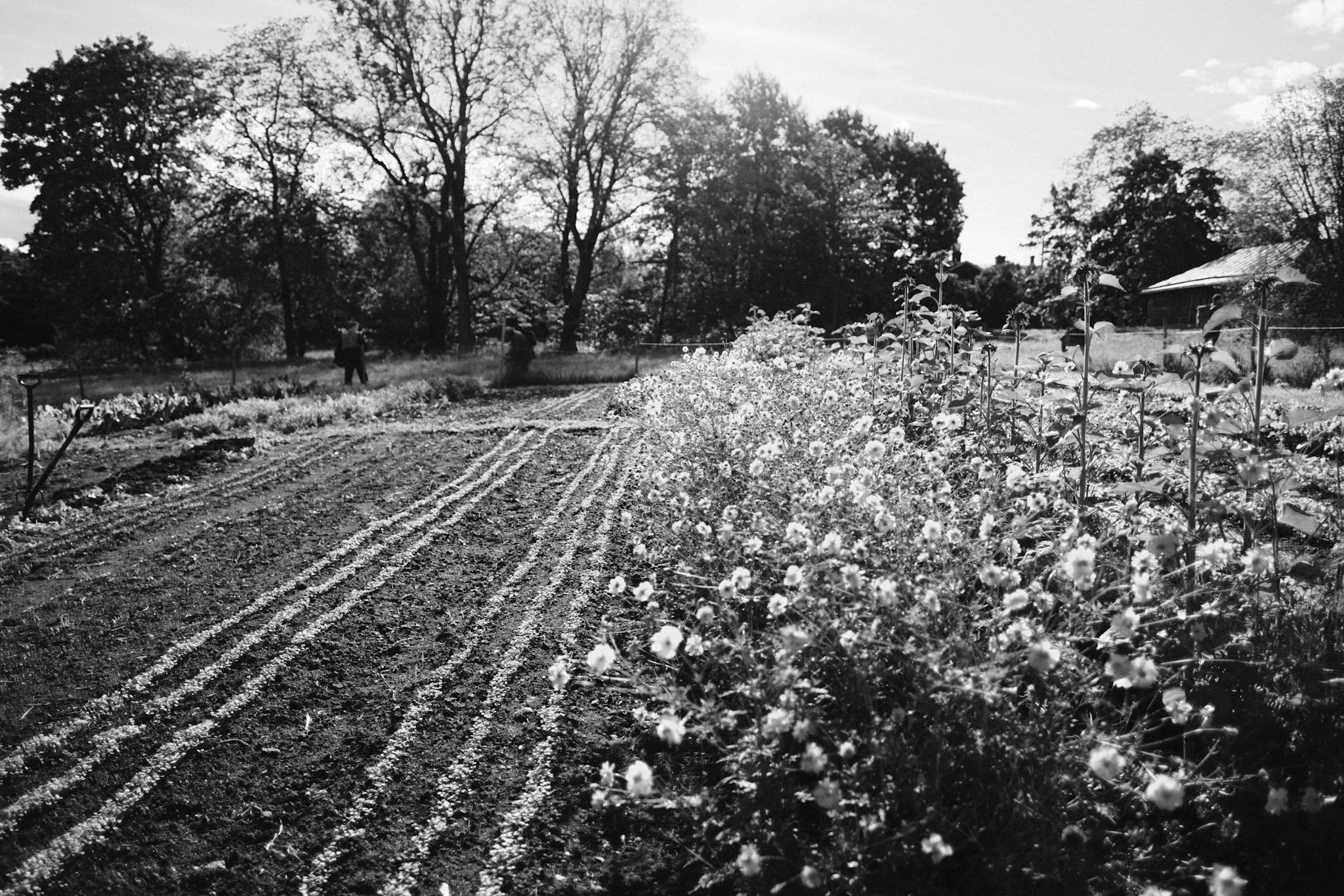Kauden avaus Herttoniemen pellolla HUHTIKUU