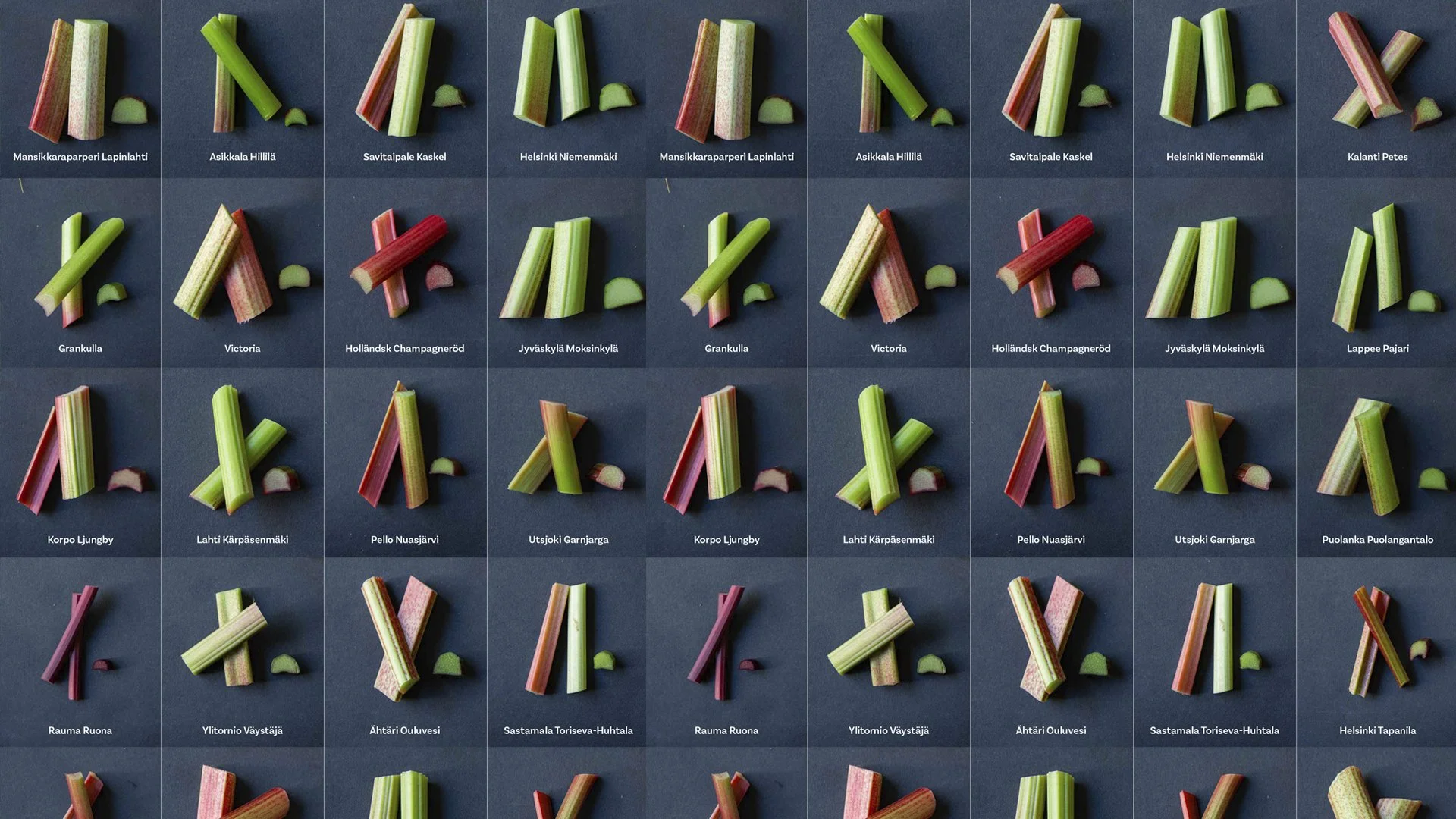 RaparperiFestivaalit 2026