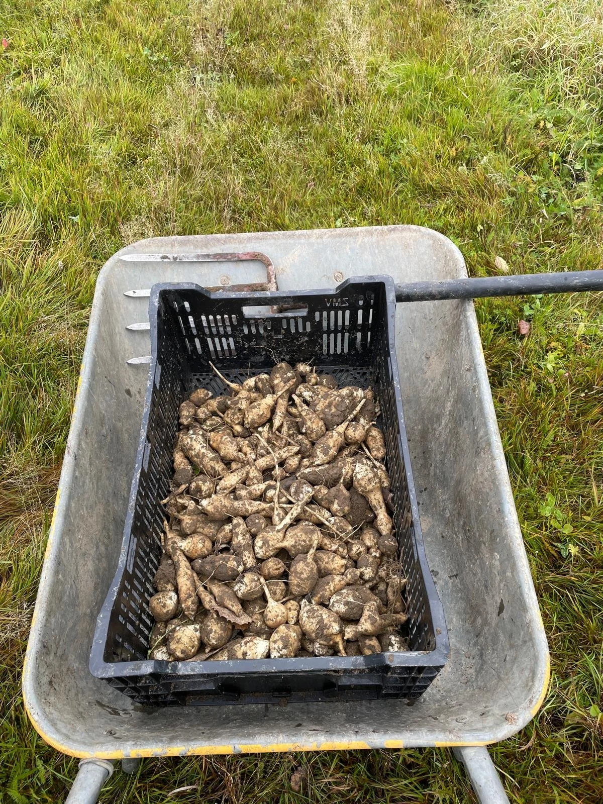 WhatsApp Image 2025-11-22 at 23.22.57 (2).jpeg