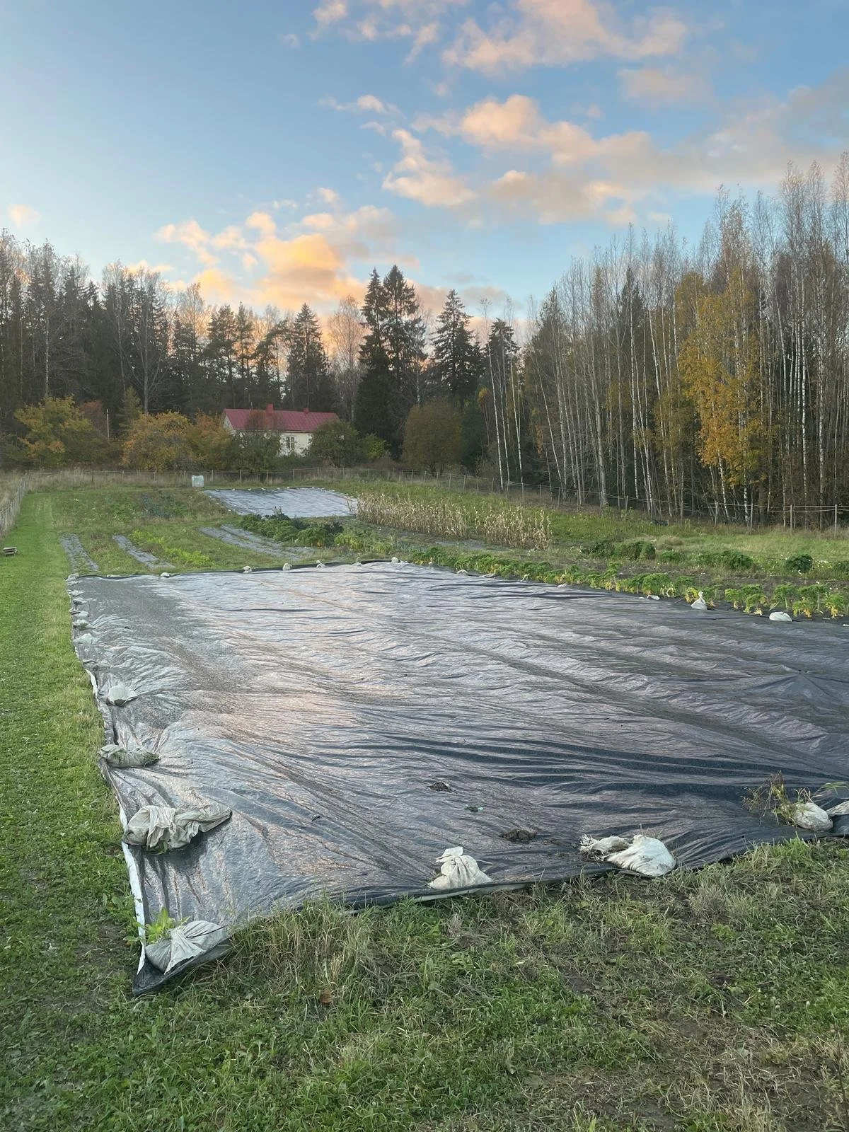 WhatsApp Image 2025-11-22 at 23.22.57.jpeg