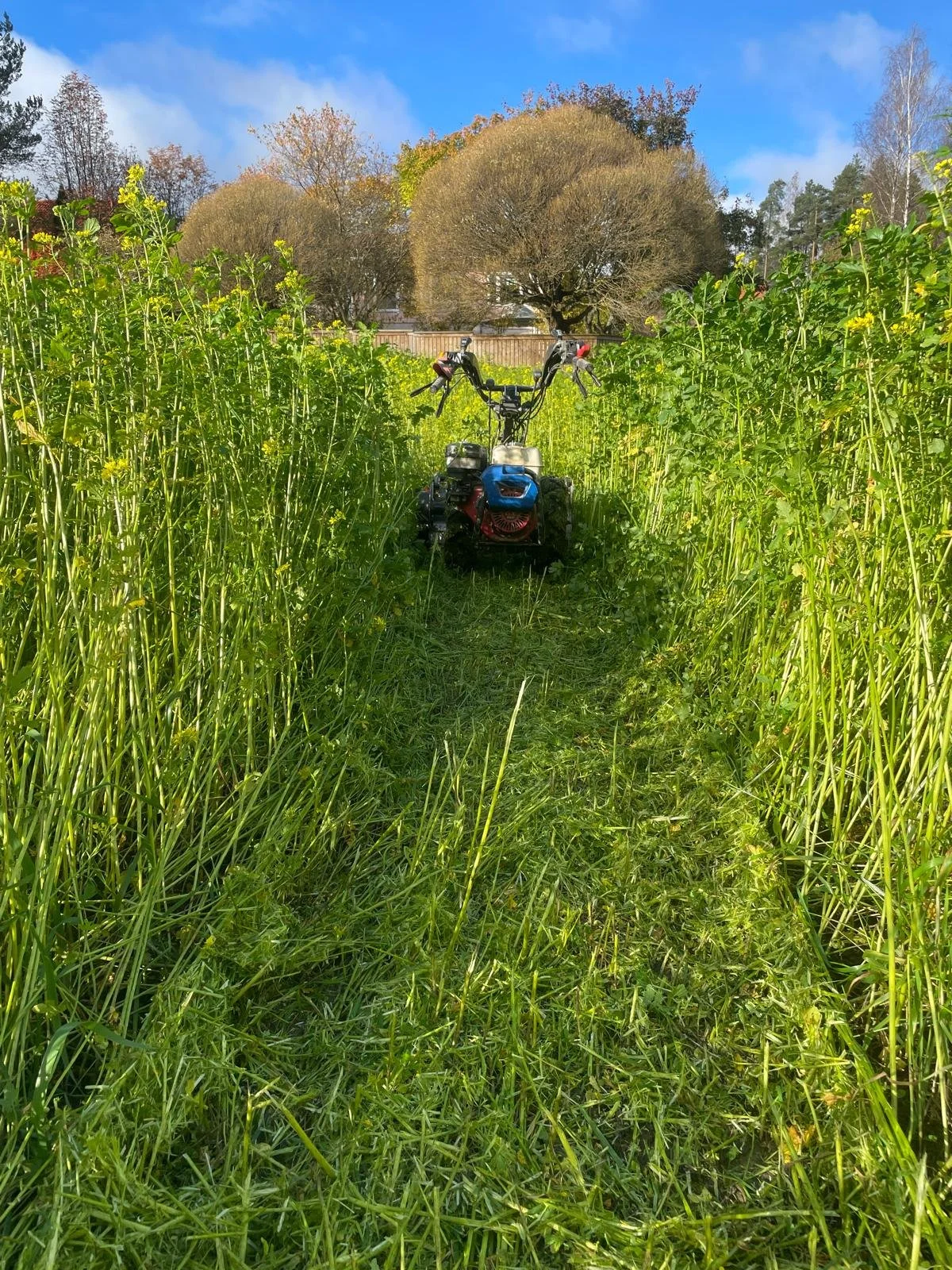 WhatsApp Image 2025-11-22 at 23.22.56 (3).jpeg