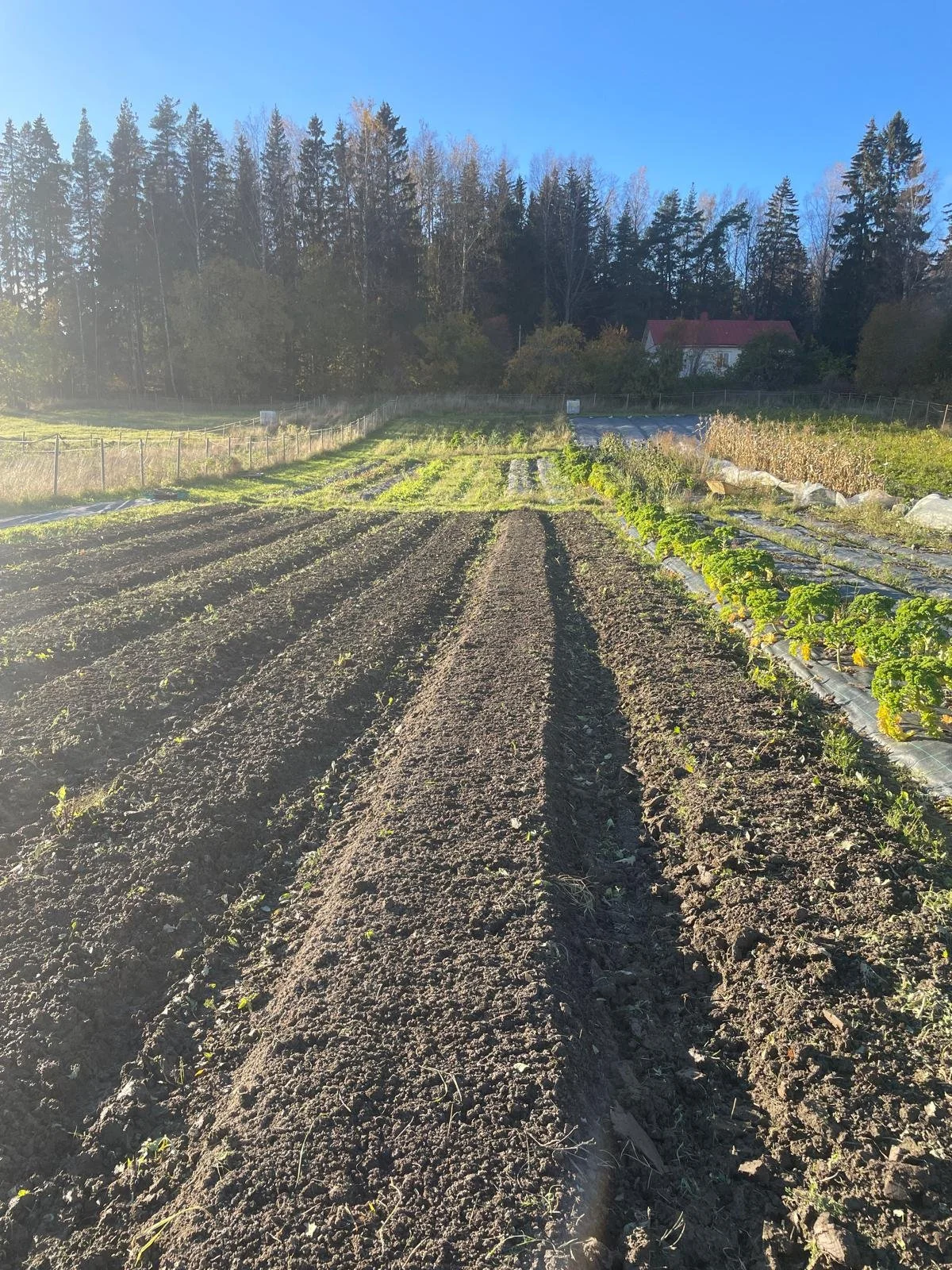 WhatsApp Image 2025-11-22 at 23.22.56 (2).jpeg