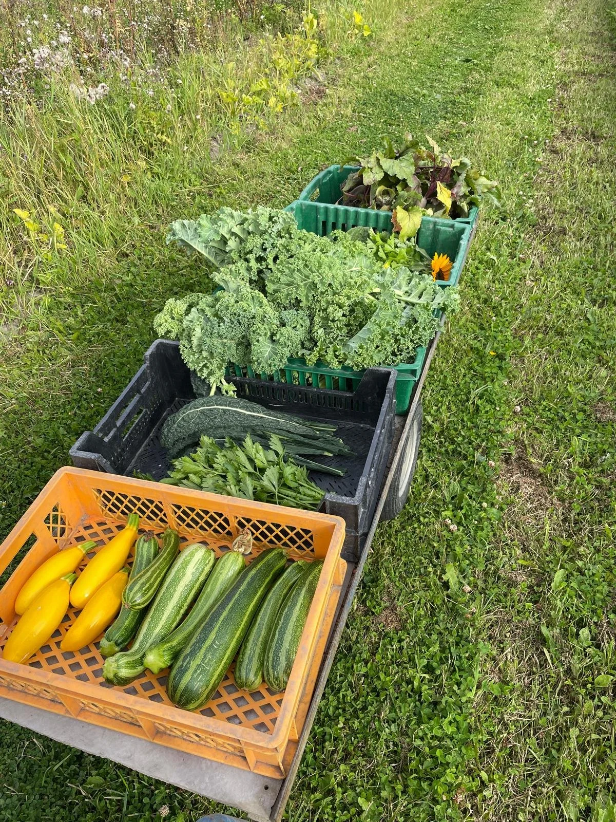 WhatsApp Image 2025-11-22 at 23.22.56.jpeg