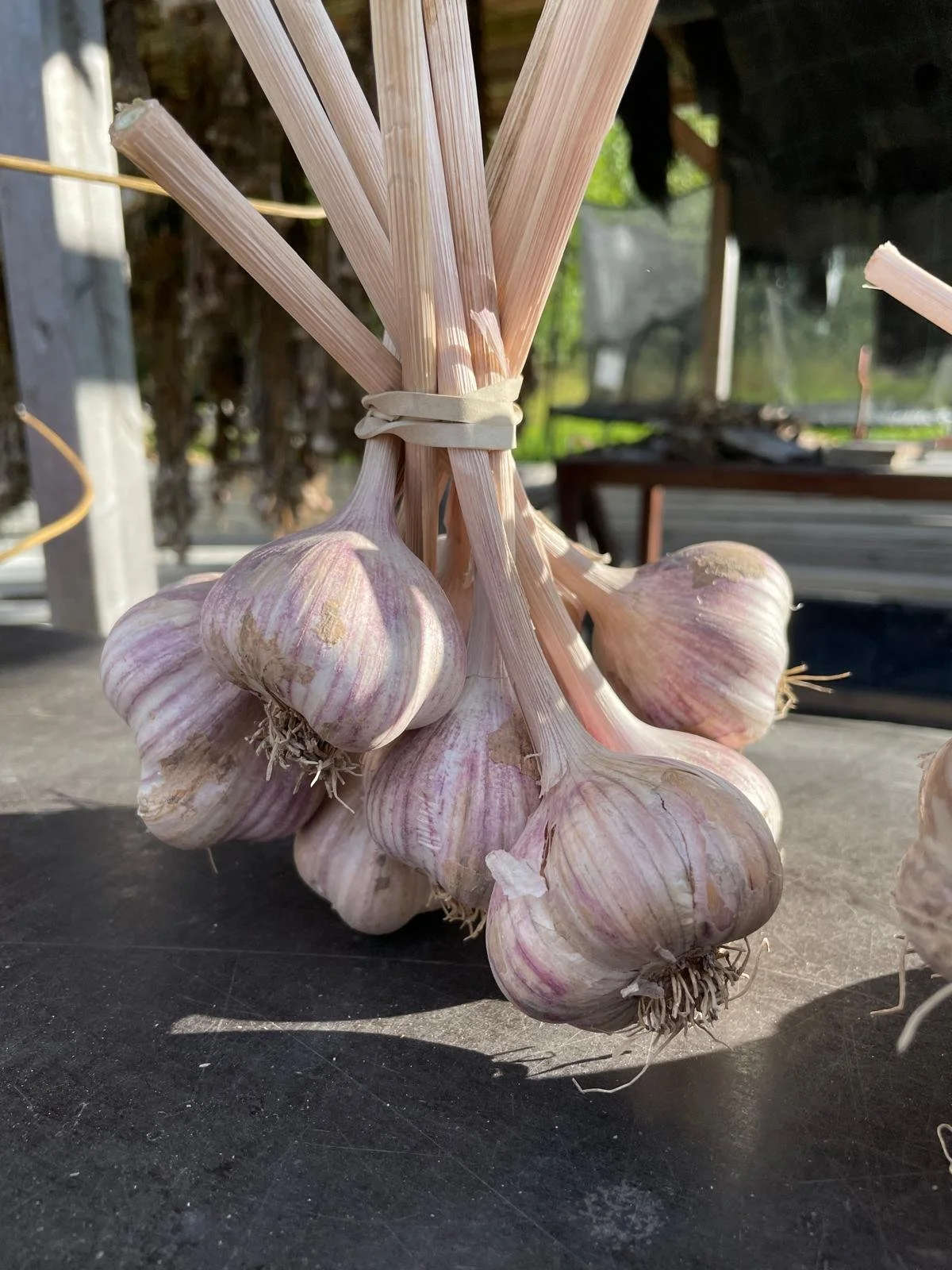 WhatsApp Image 2025-11-22 at 23.22.55 (1).jpeg