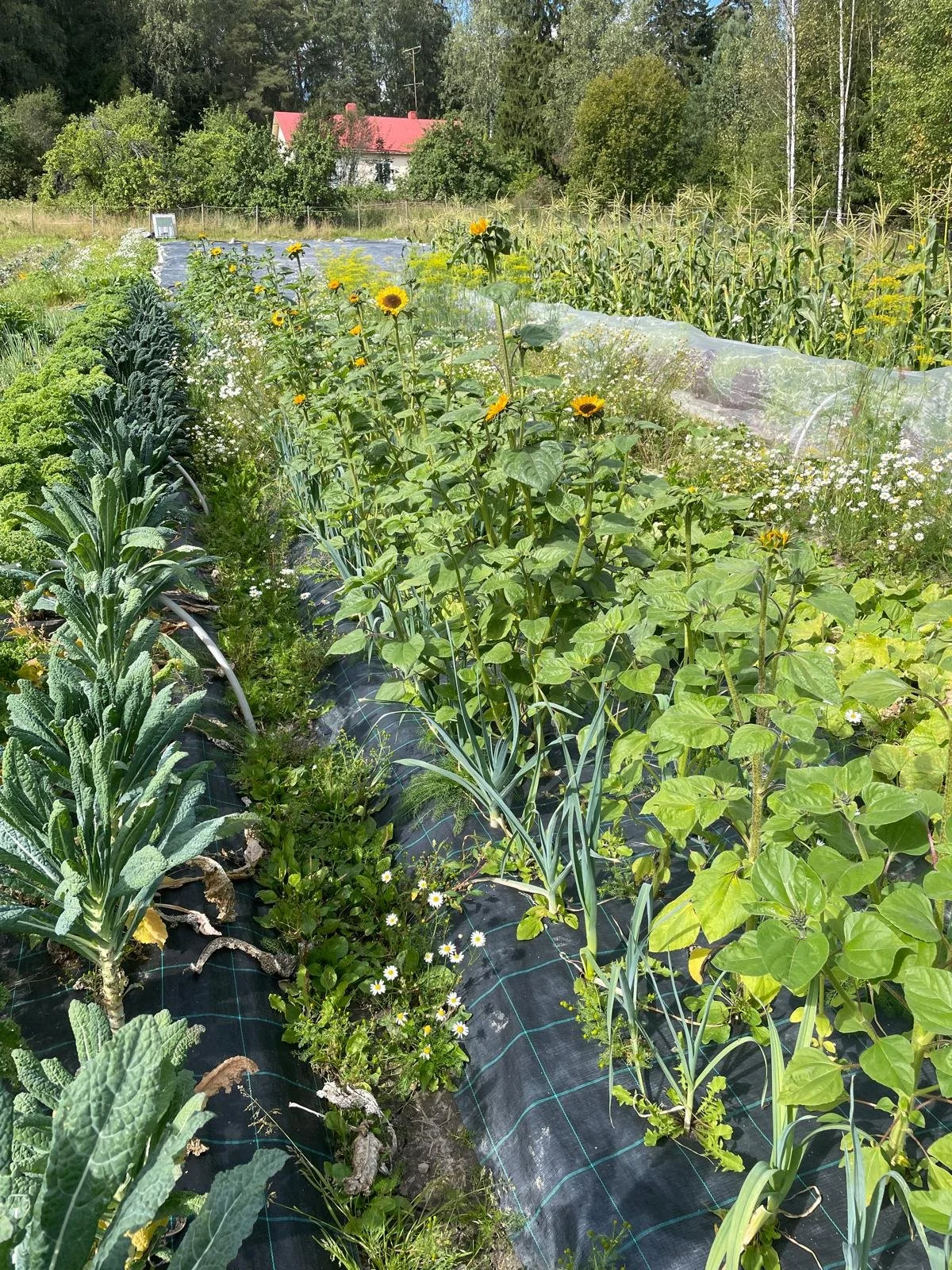 WhatsApp Image 2025-11-22 at 23.22.55.jpeg