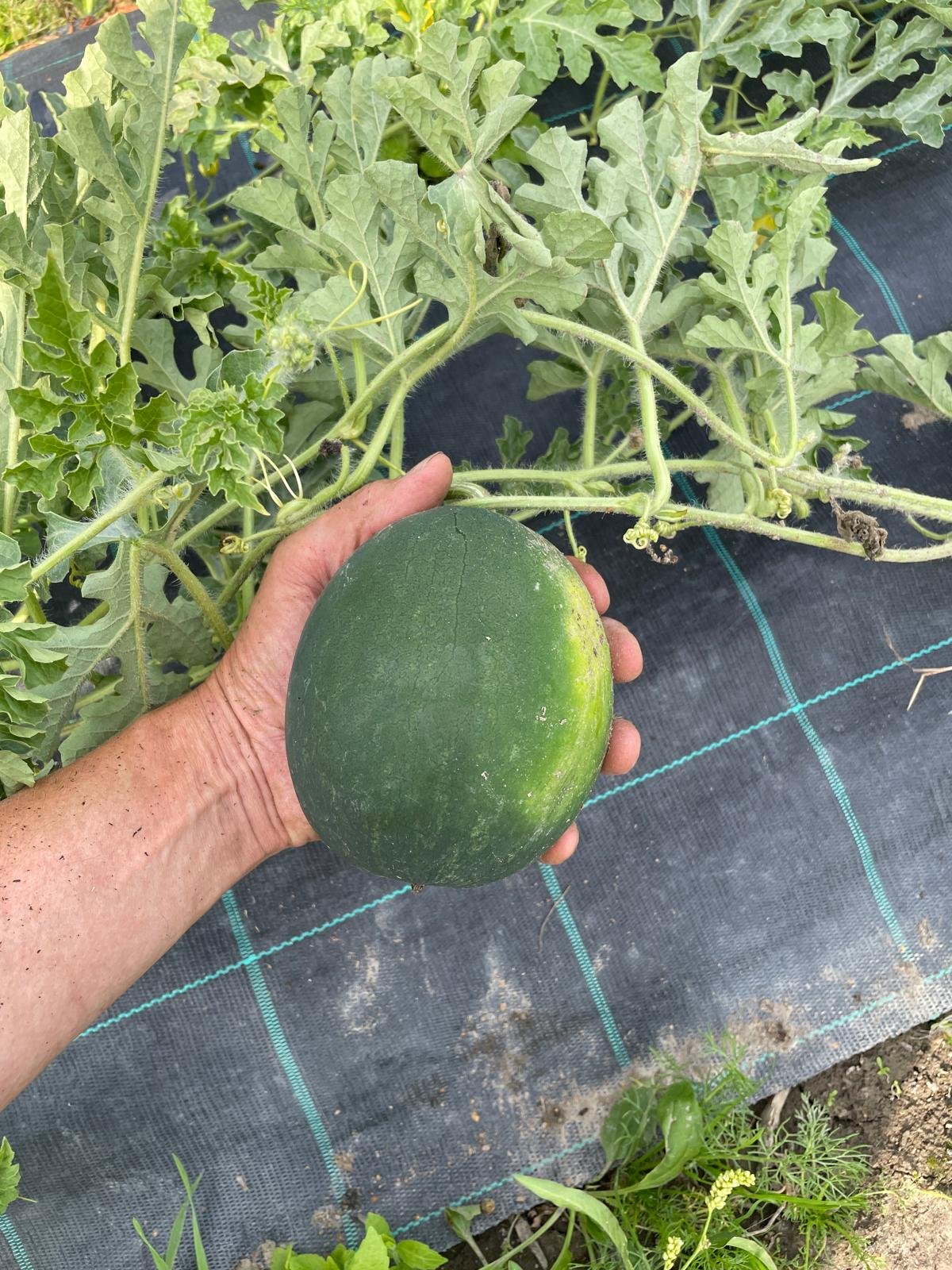 WhatsApp Image 2025-11-22 at 23.22.49 (1).jpeg