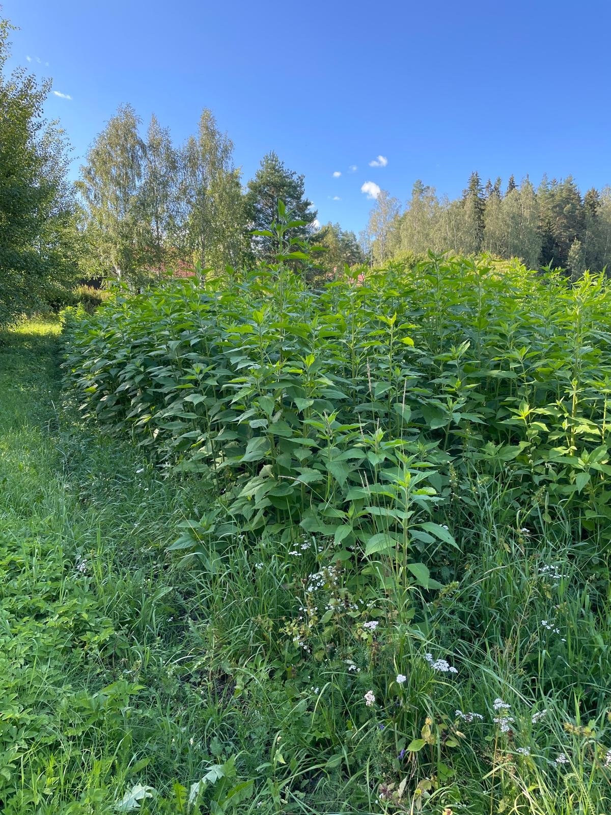 WhatsApp Image 2025-11-22 at 23.22.49.jpeg