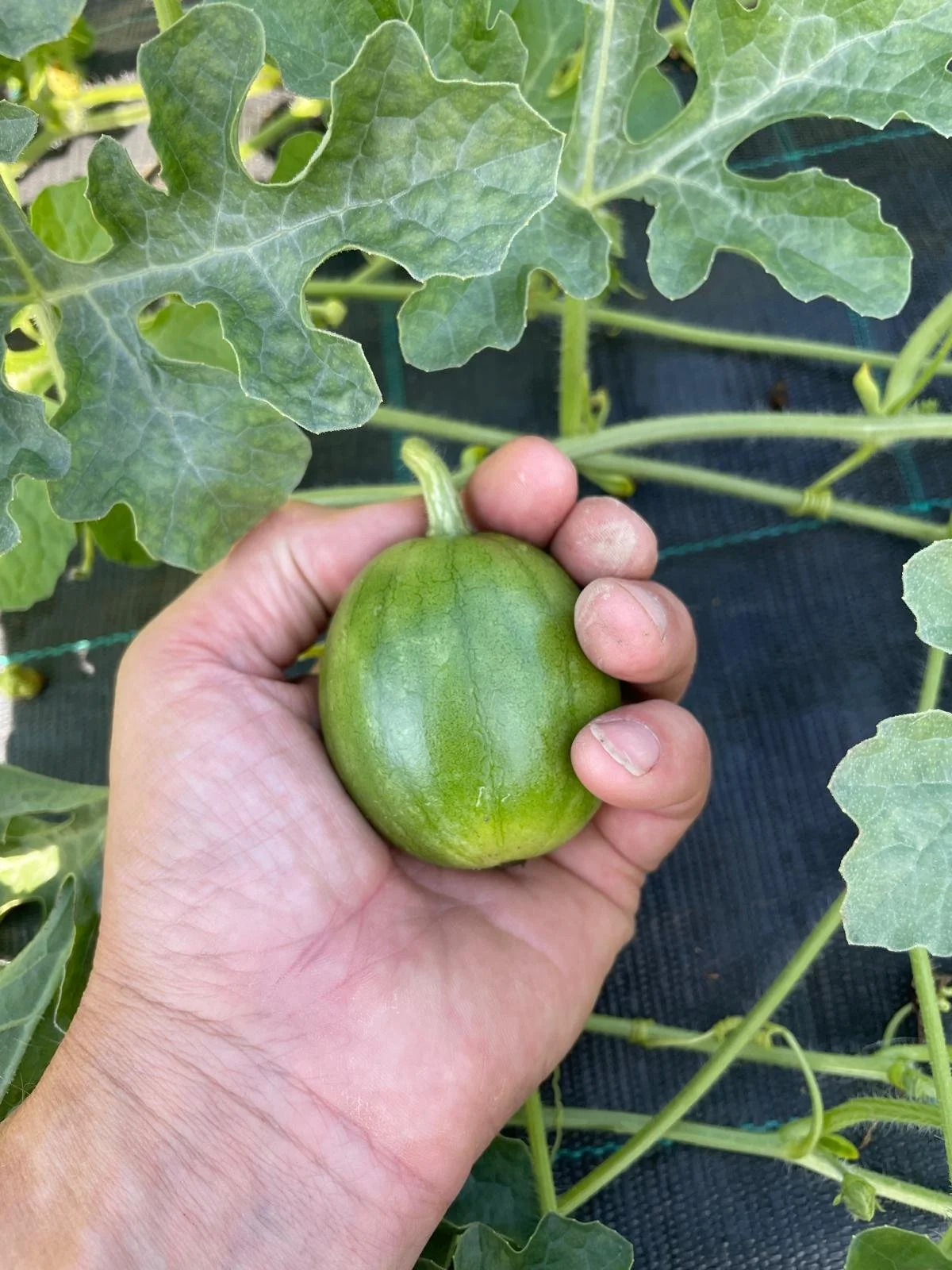 WhatsApp Image 2025-11-22 at 23.22.48 (1).jpeg