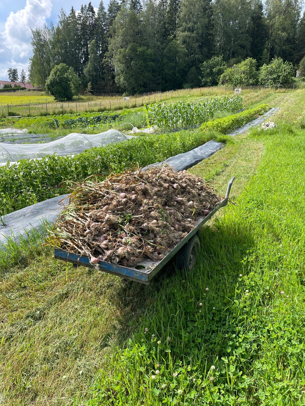 WhatsApp Image 2025-11-22 at 23.16.16 (2).jpeg