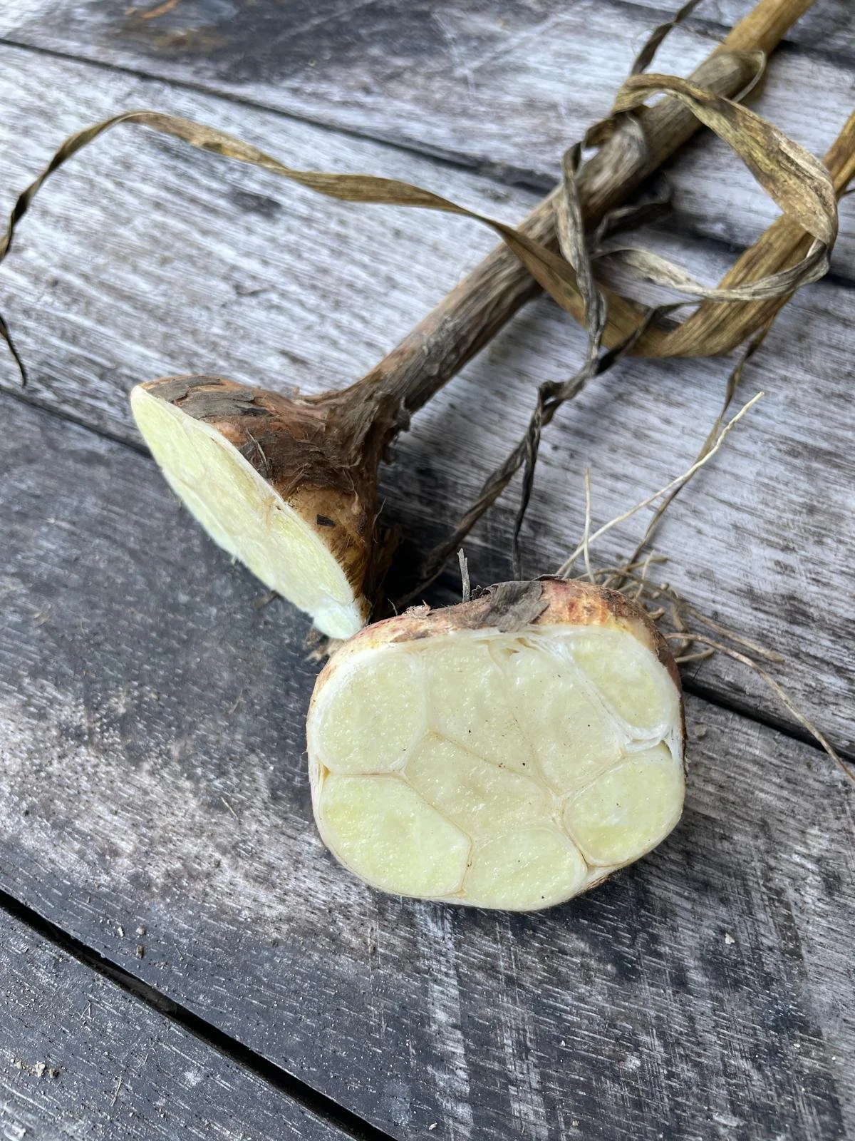 WhatsApp Image 2025-11-22 at 23.16.16 (1).jpeg