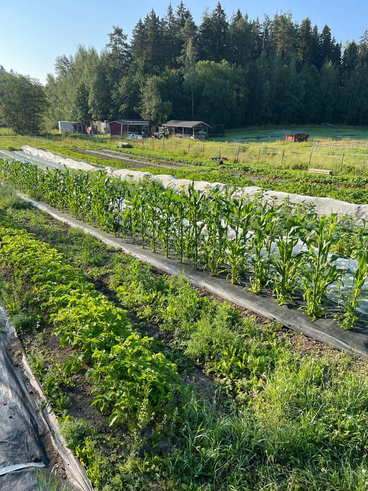 WhatsApp Image 2025-11-22 at 23.16.16.jpeg