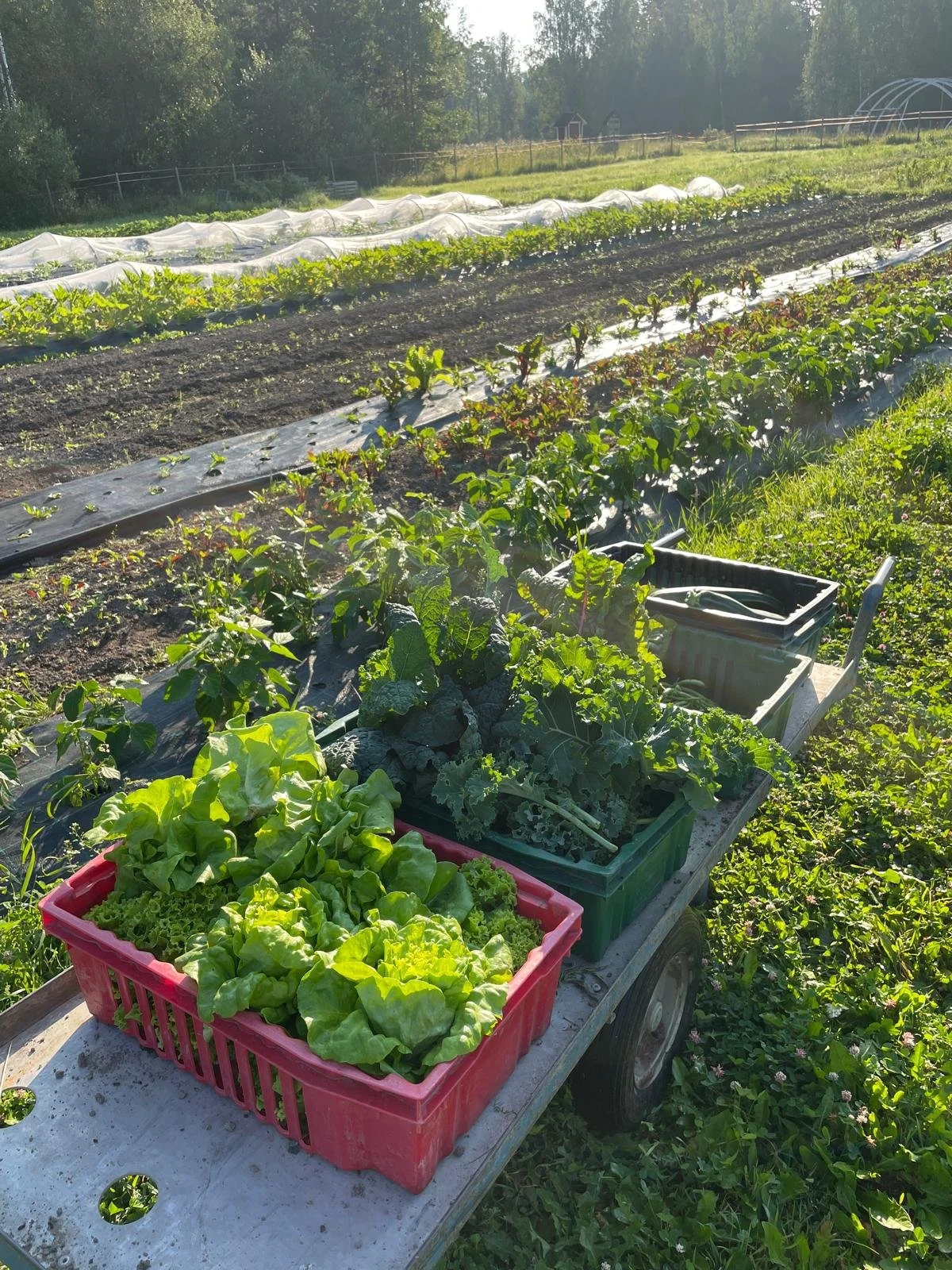 WhatsApp Image 2025-11-22 at 23.16.15 (4).jpeg