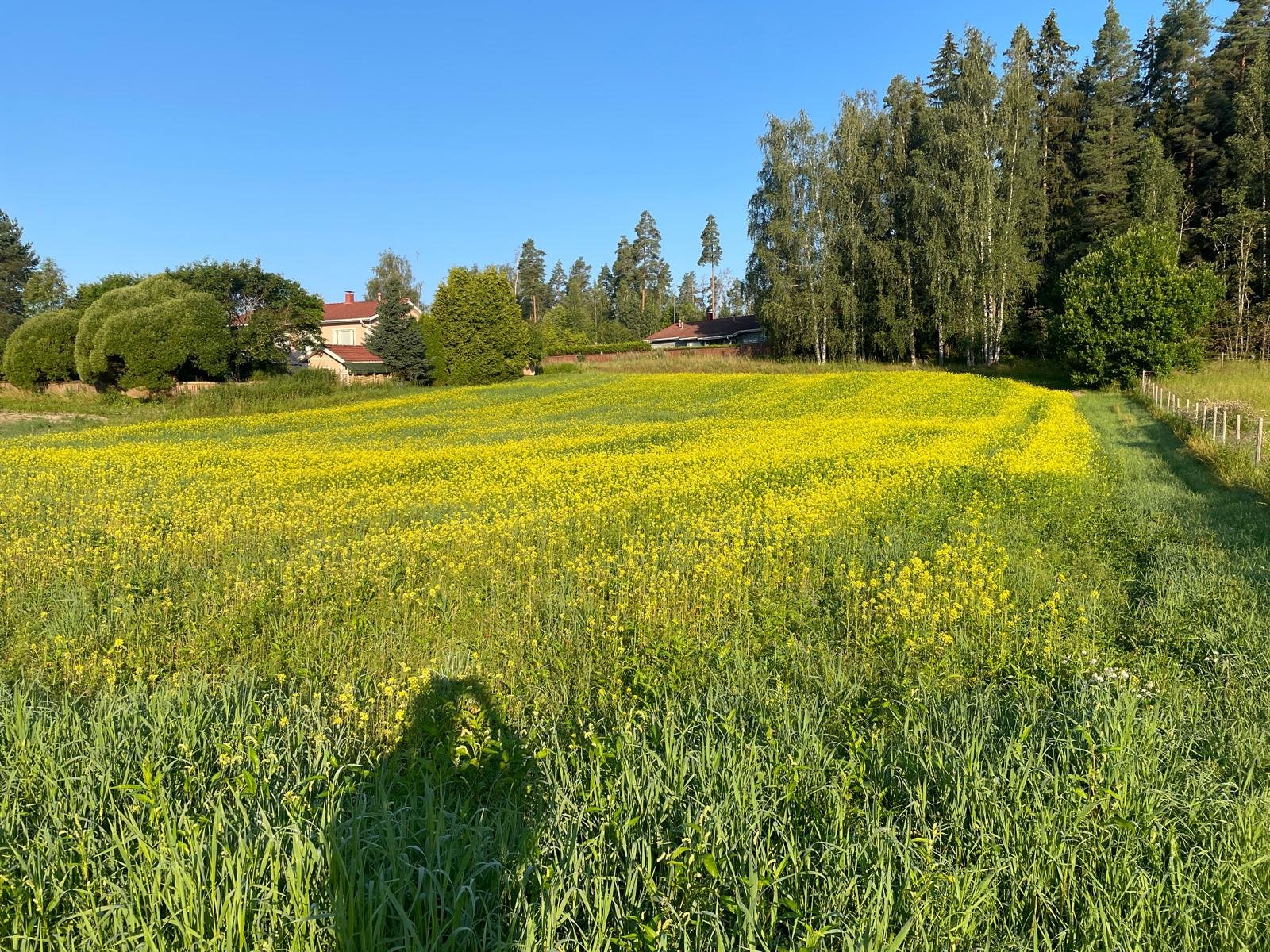 WhatsApp Image 2025-11-22 at 23.16.15 (3).jpeg