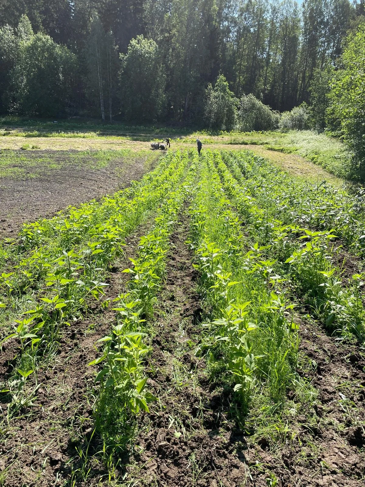 WhatsApp Image 2025-11-22 at 23.16.14 (1).jpeg