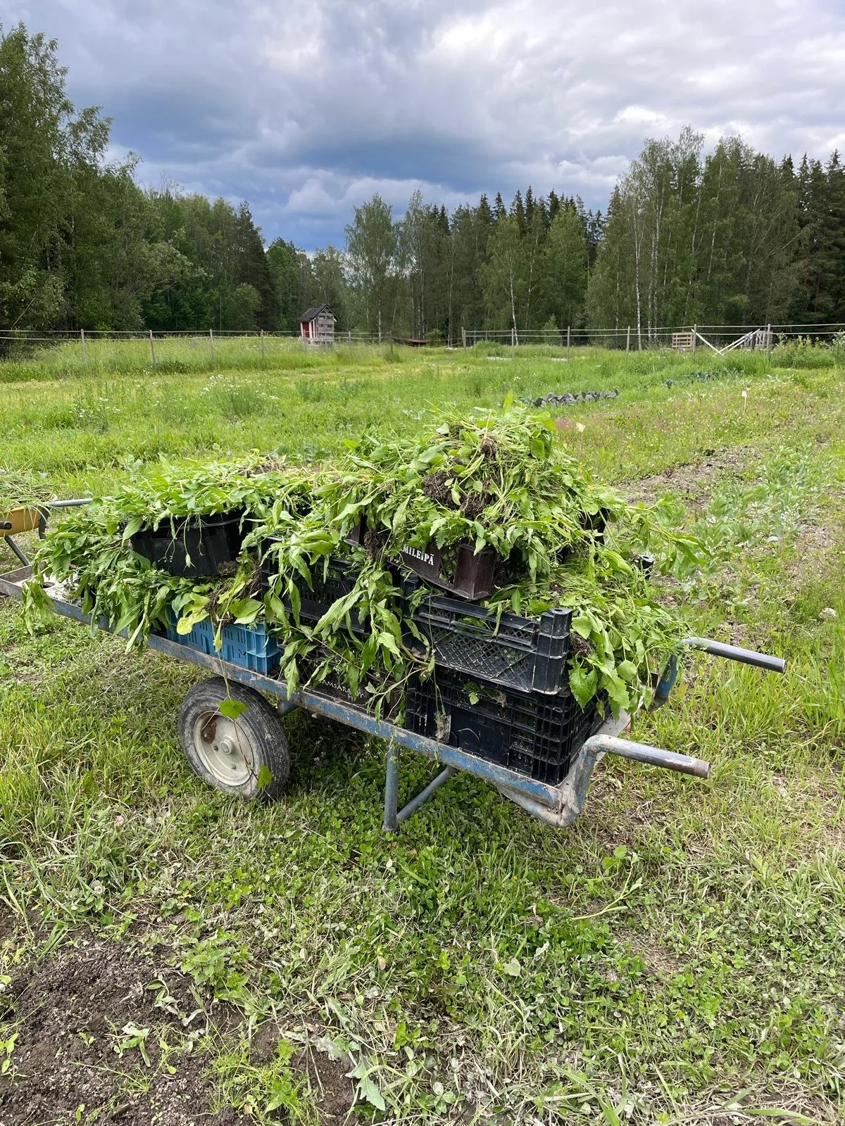 WhatsApp Image 2025-11-22 at 23.16.12.jpeg