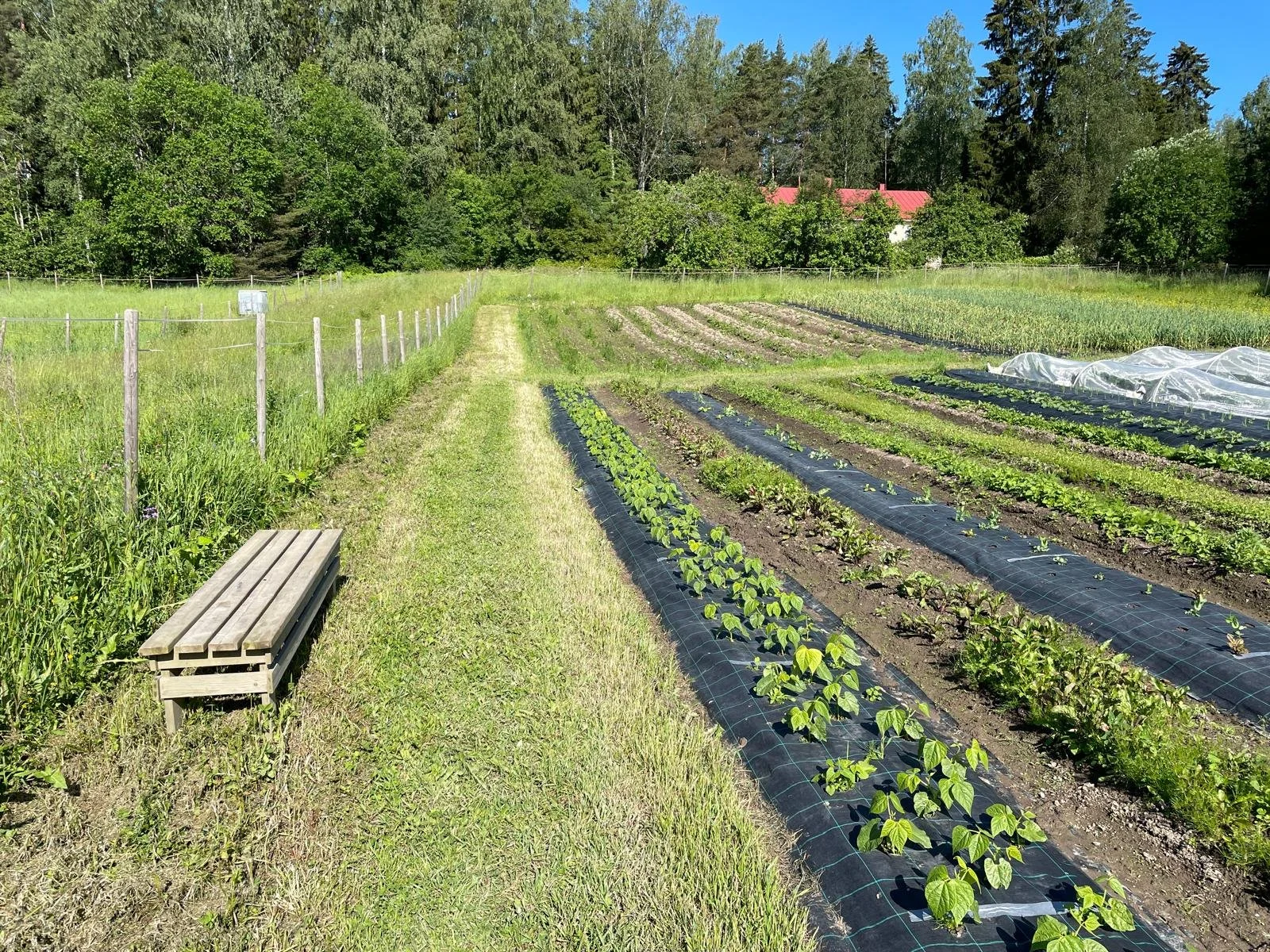 WhatsApp Image 2025-11-22 at 23.16.09 (1).jpeg