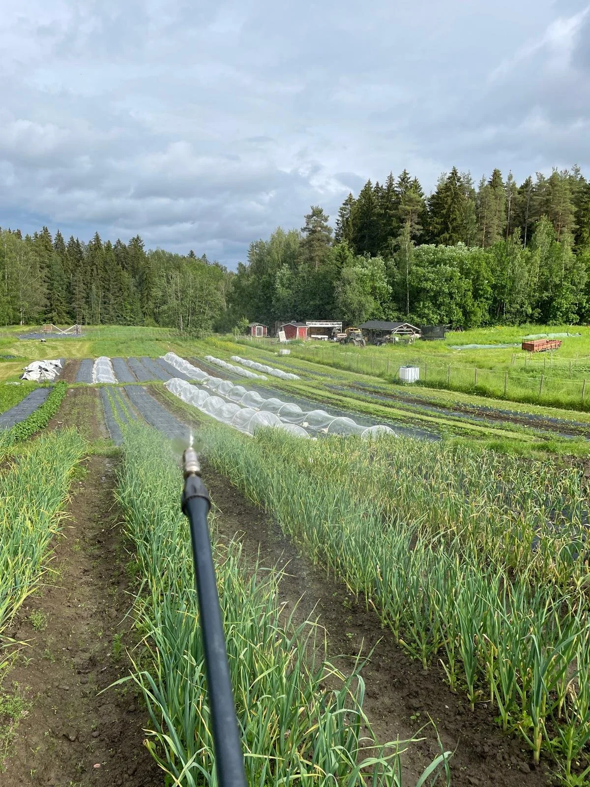 WhatsApp Image 2025-11-22 at 23.16.09.jpeg