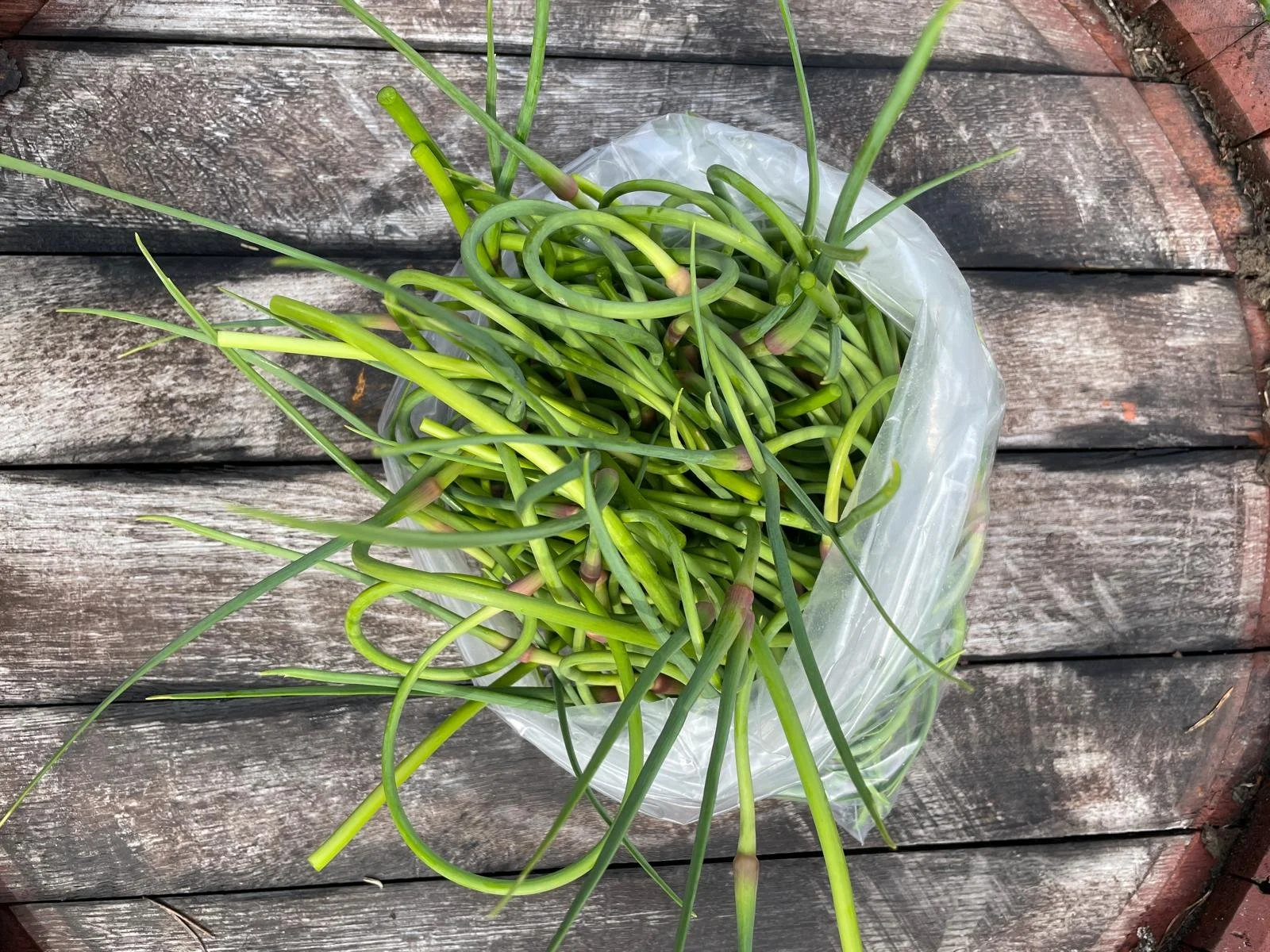 WhatsApp Image 2025-11-22 at 23.15.58 (2).jpeg