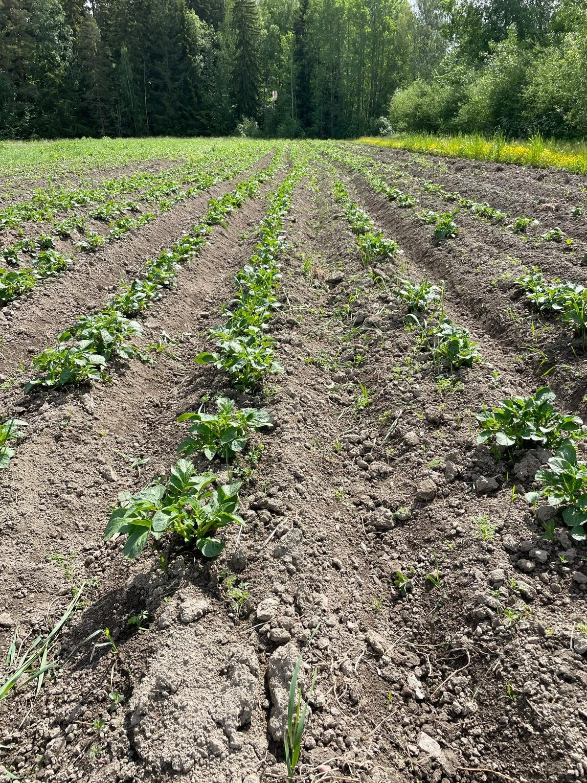 WhatsApp Image 2025-11-22 at 23.15.58 (1).jpeg