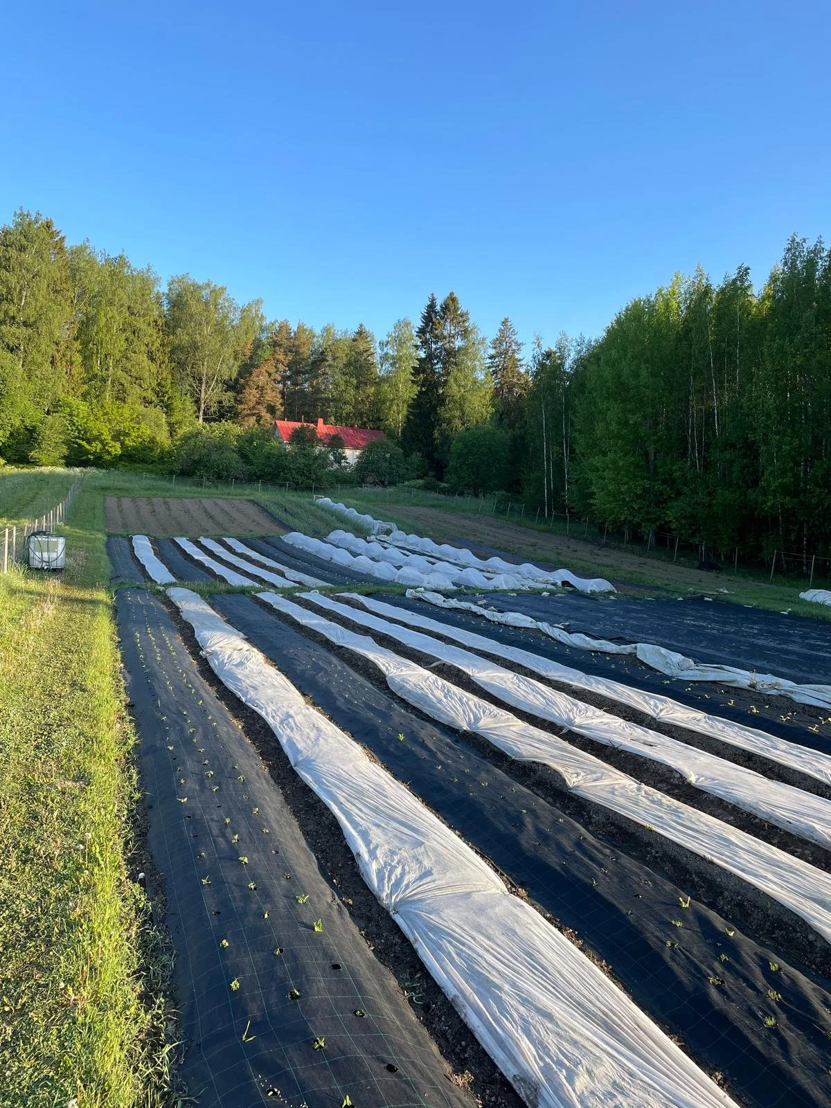 WhatsApp Image 2025-11-22 at 23.15.58.jpeg