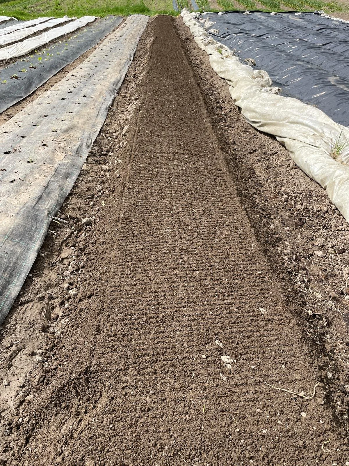 WhatsApp Image 2025-11-22 at 23.15.57 (1).jpeg