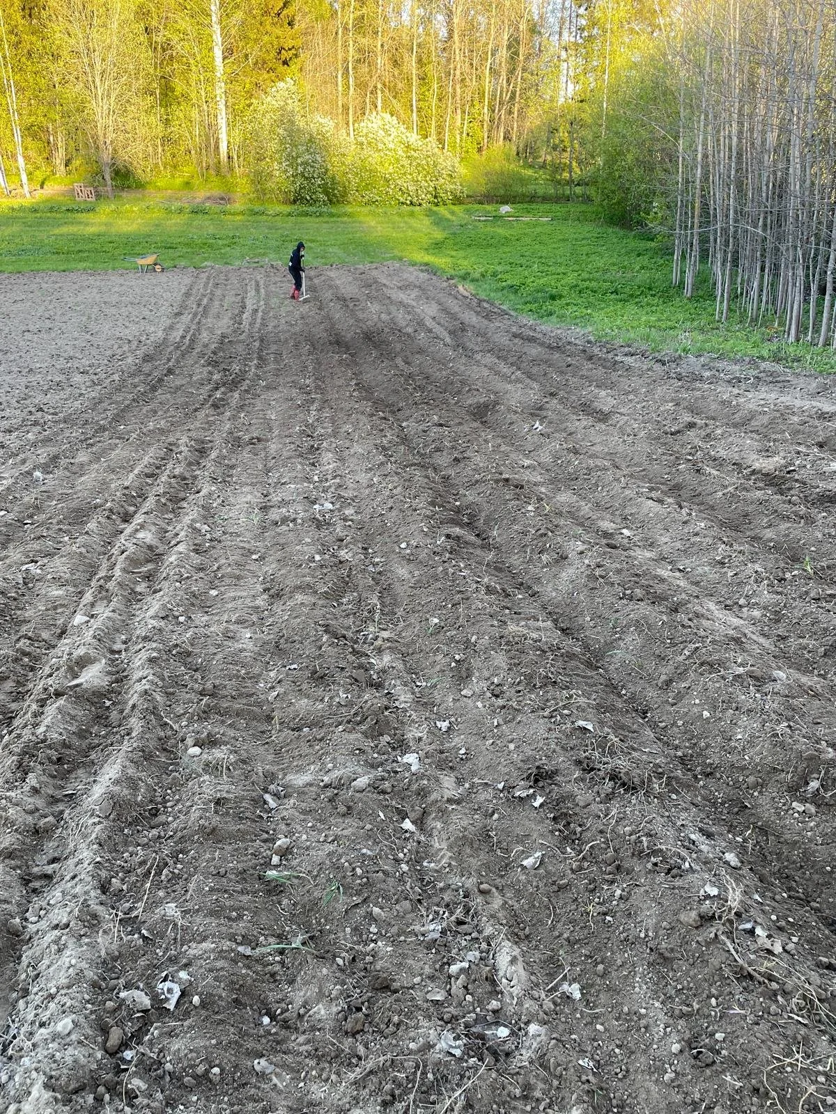 WhatsApp Image 2025-11-22 at 23.15.57.jpeg