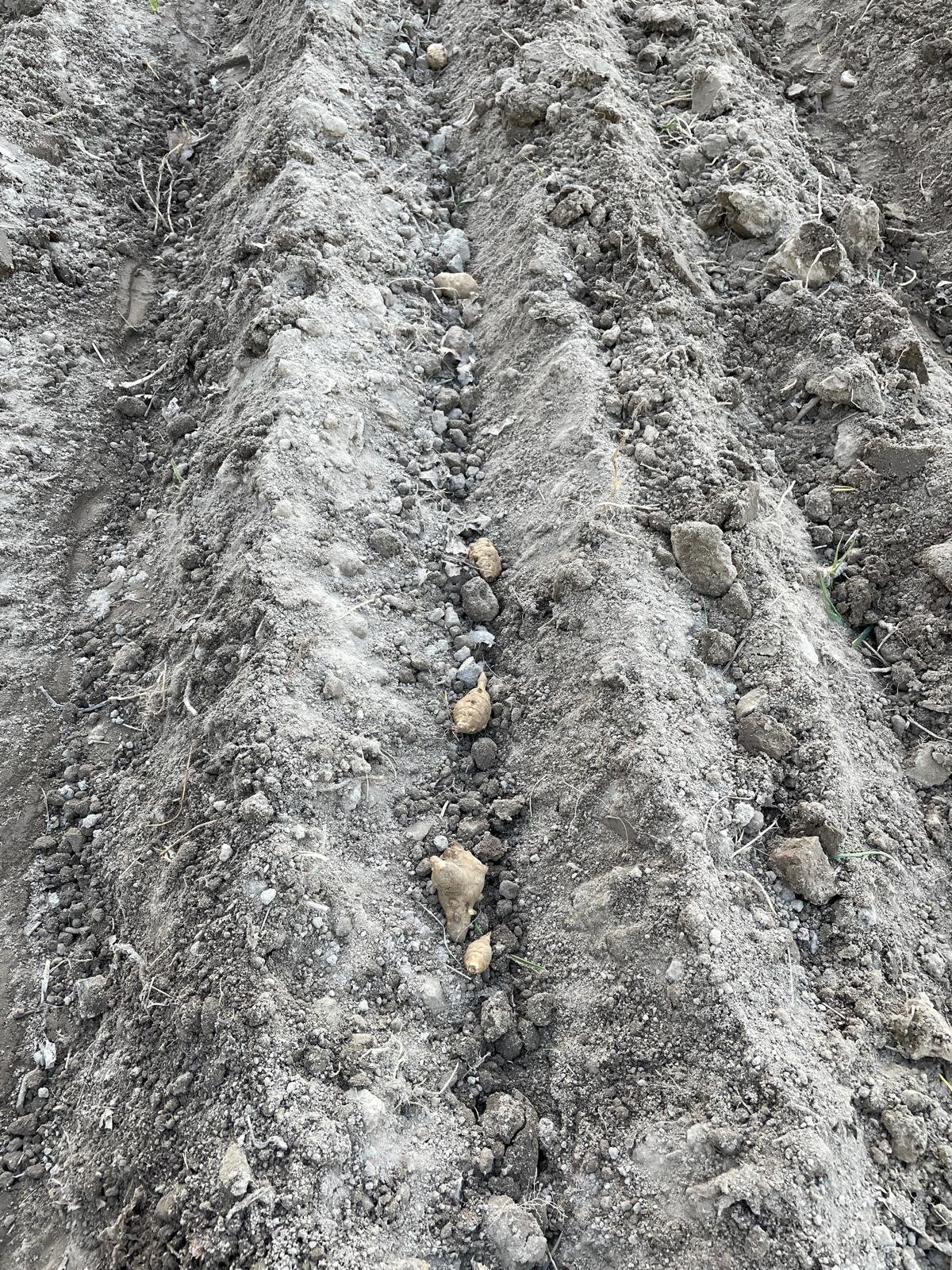 WhatsApp Image 2025-11-22 at 23.15.56.jpeg