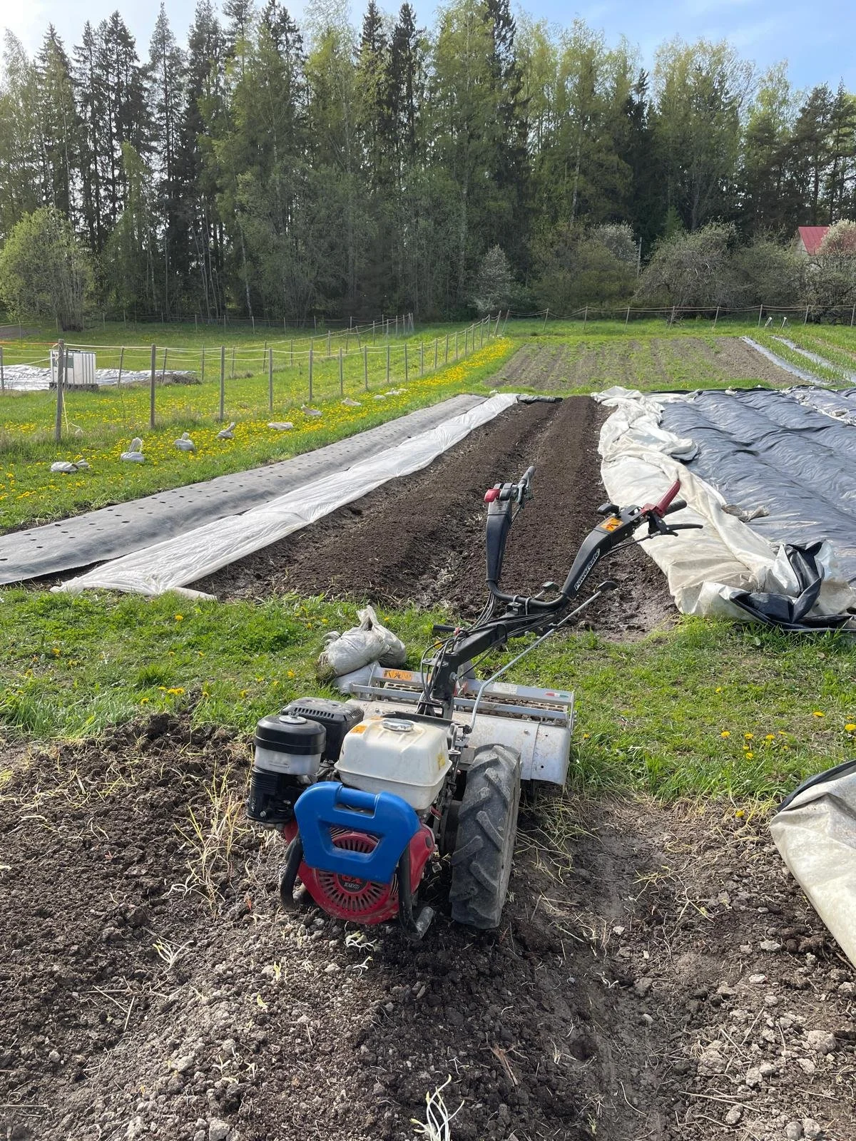 WhatsApp Image 2025-11-22 at 23.08.23.jpeg