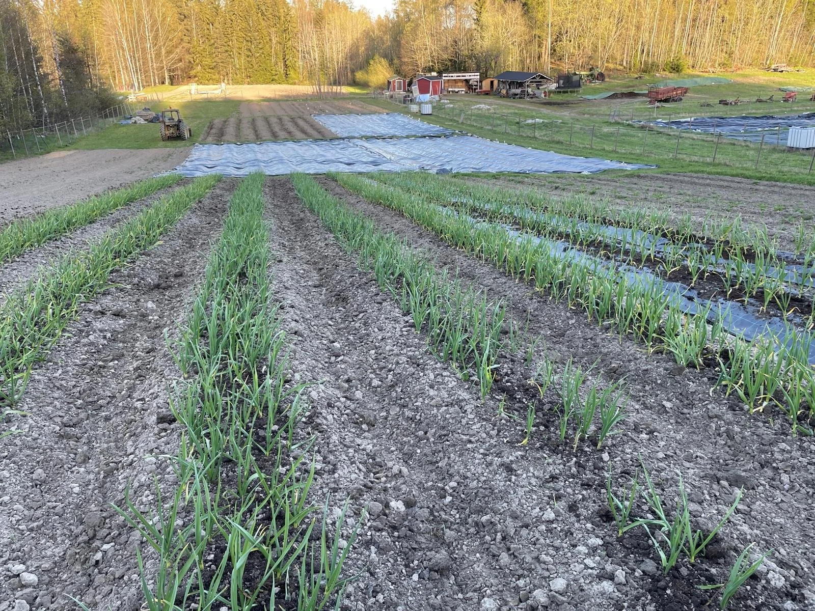 WhatsApp Image 2025-11-22 at 23.08.22 (1).jpeg