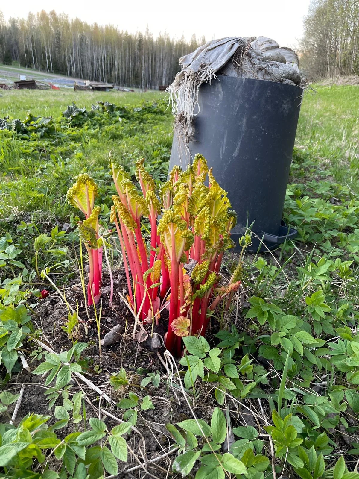 WhatsApp Image 2025-11-22 at 23.08.22.jpeg