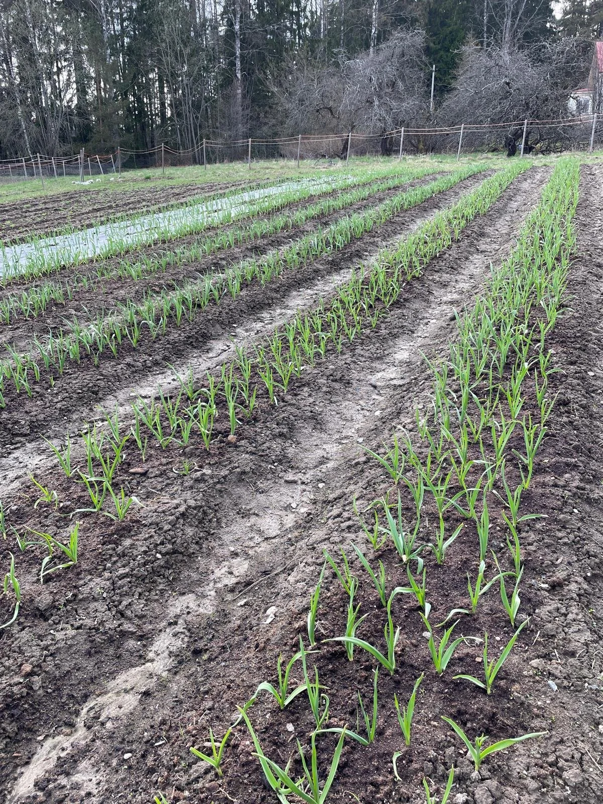 WhatsApp Image 2025-11-22 at 23.04.43 (2).jpeg