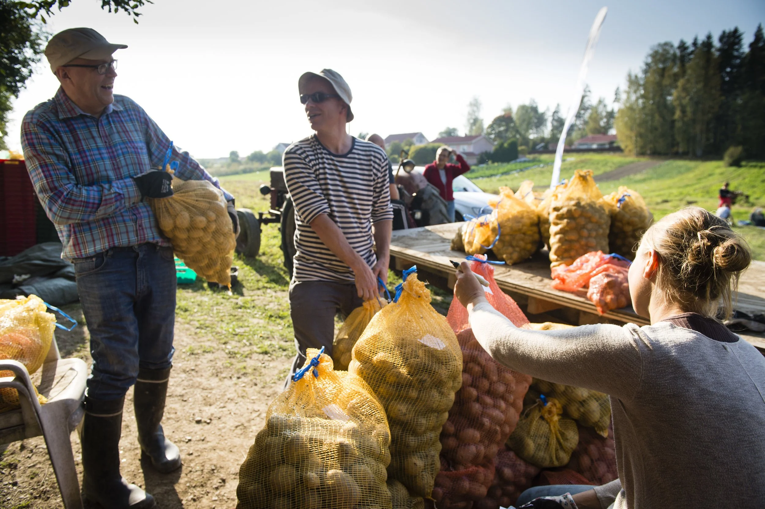 Herttoniemen talkoot ELOKUU