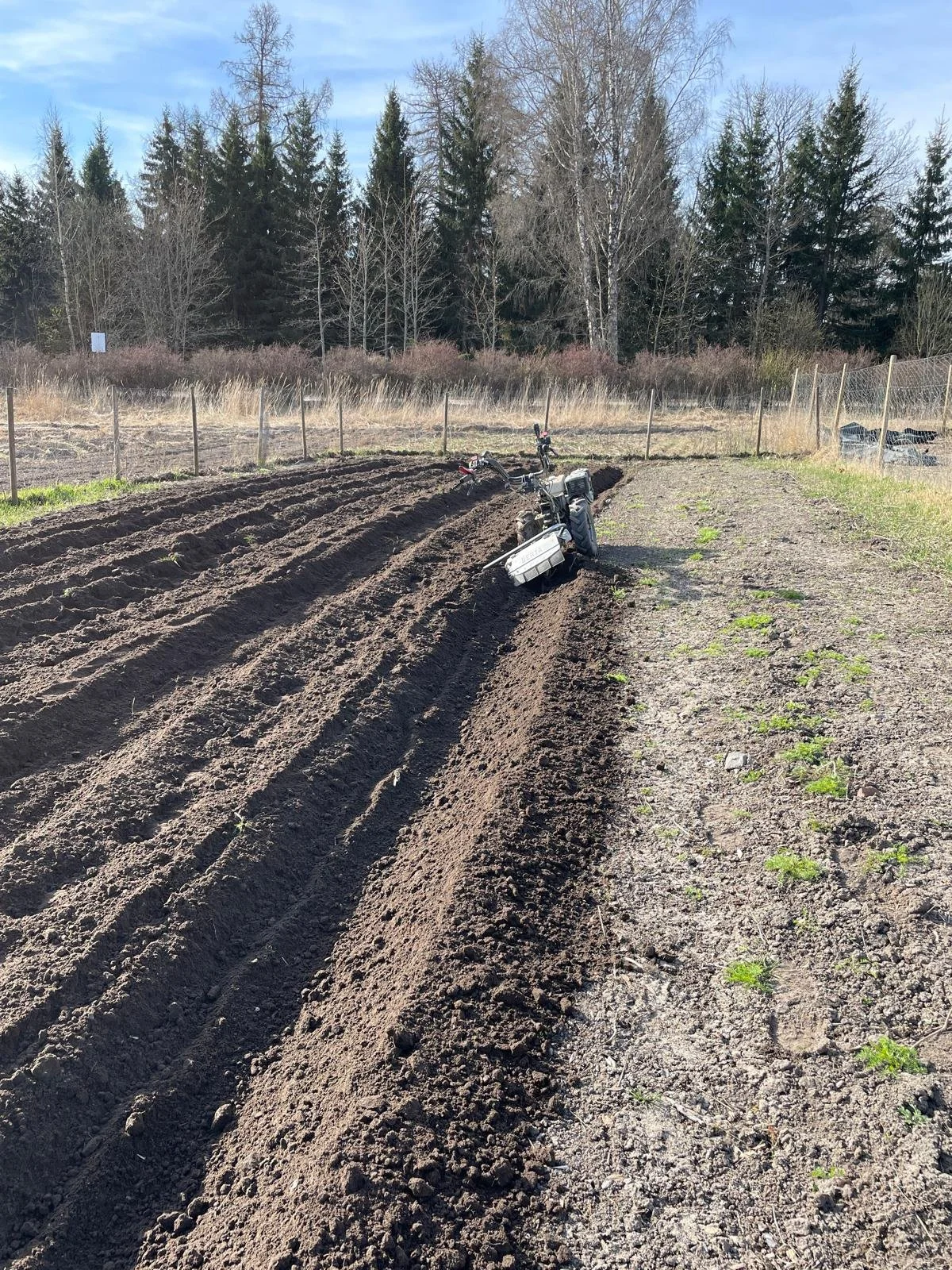 Uusia viljelypenkkejä