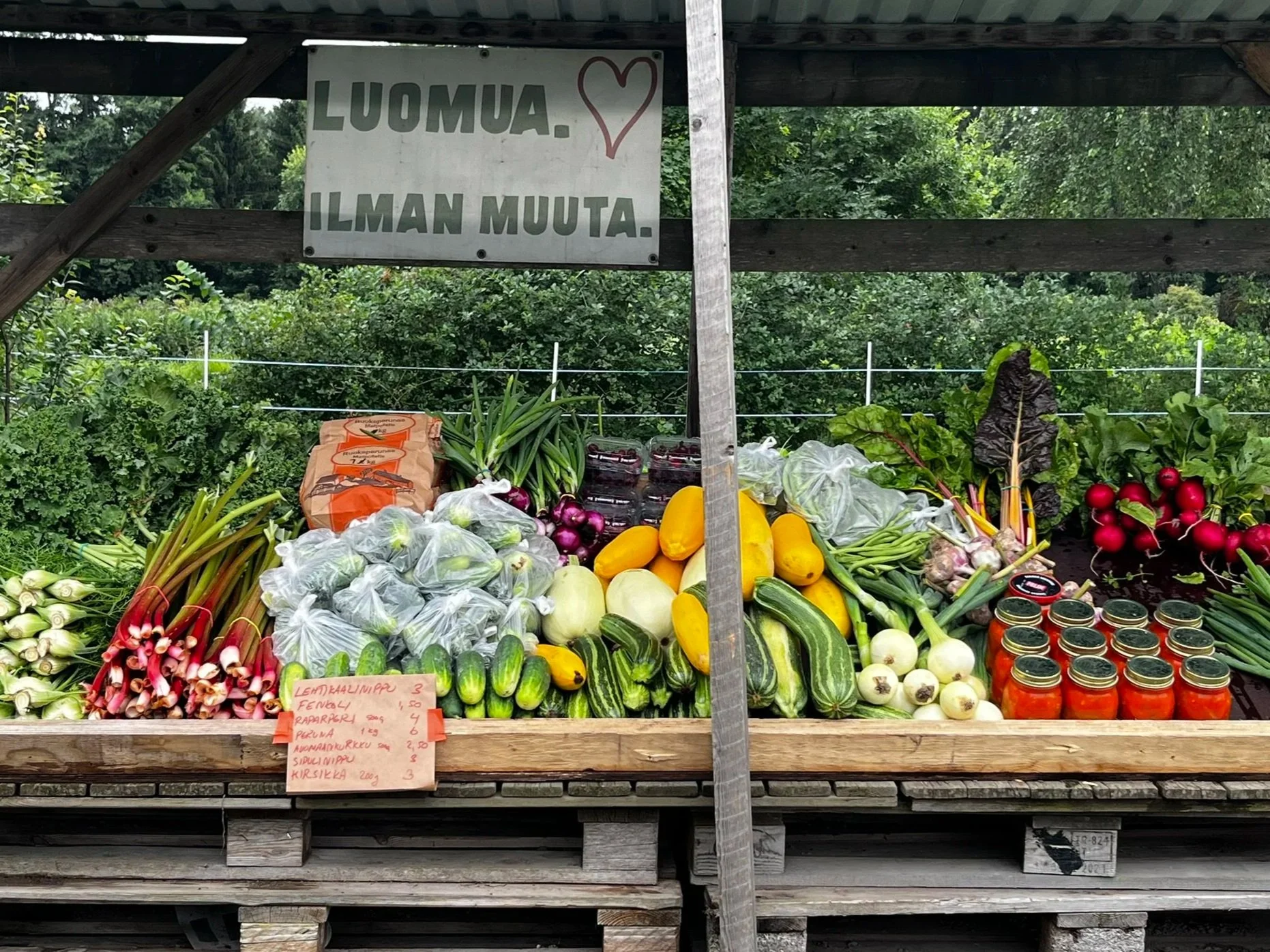 Luomukasvisten suoramyynti Herttoniemen pellolla