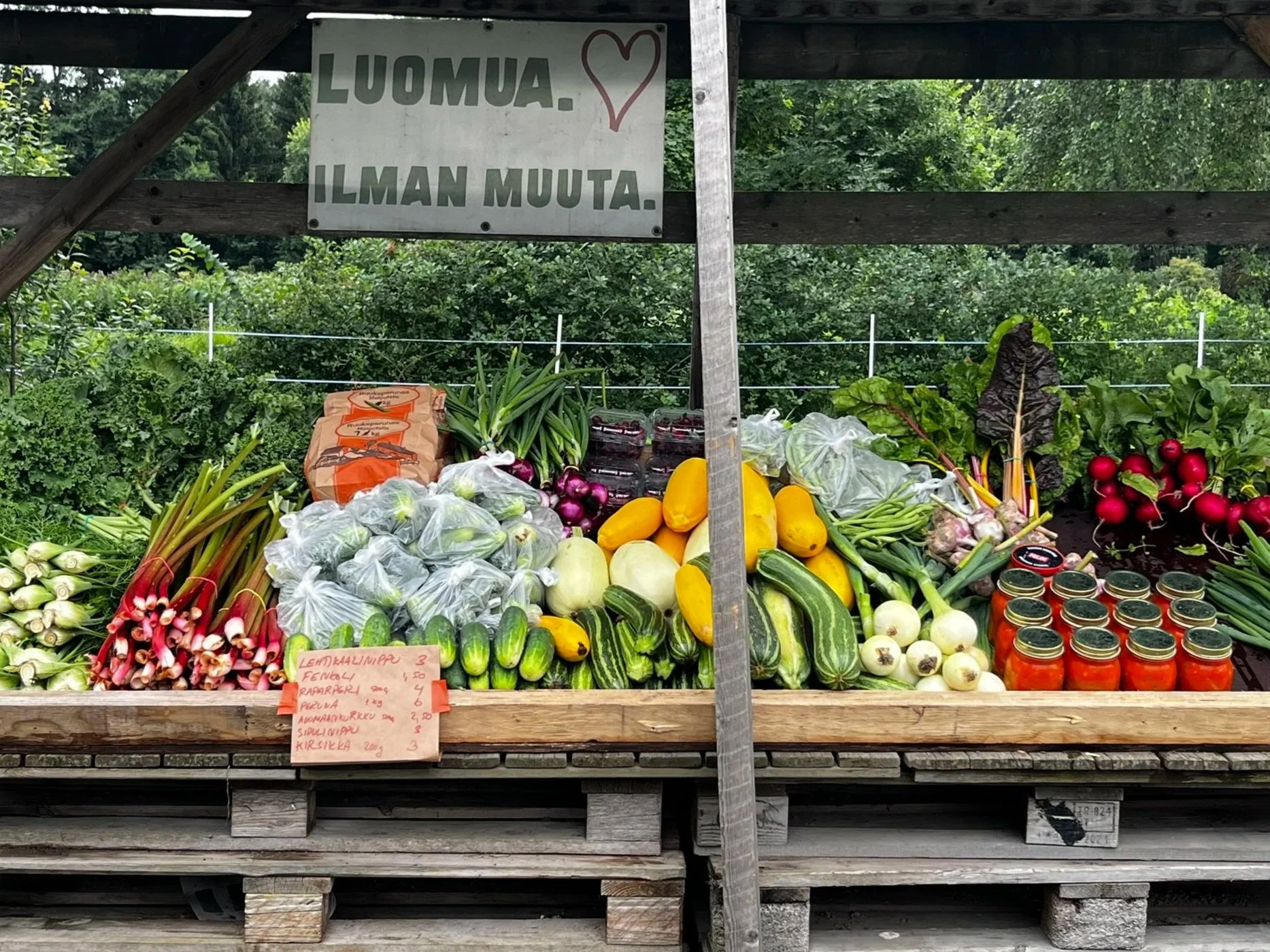 Luomukasvisten suoramyynti Herttoniemen pellolla