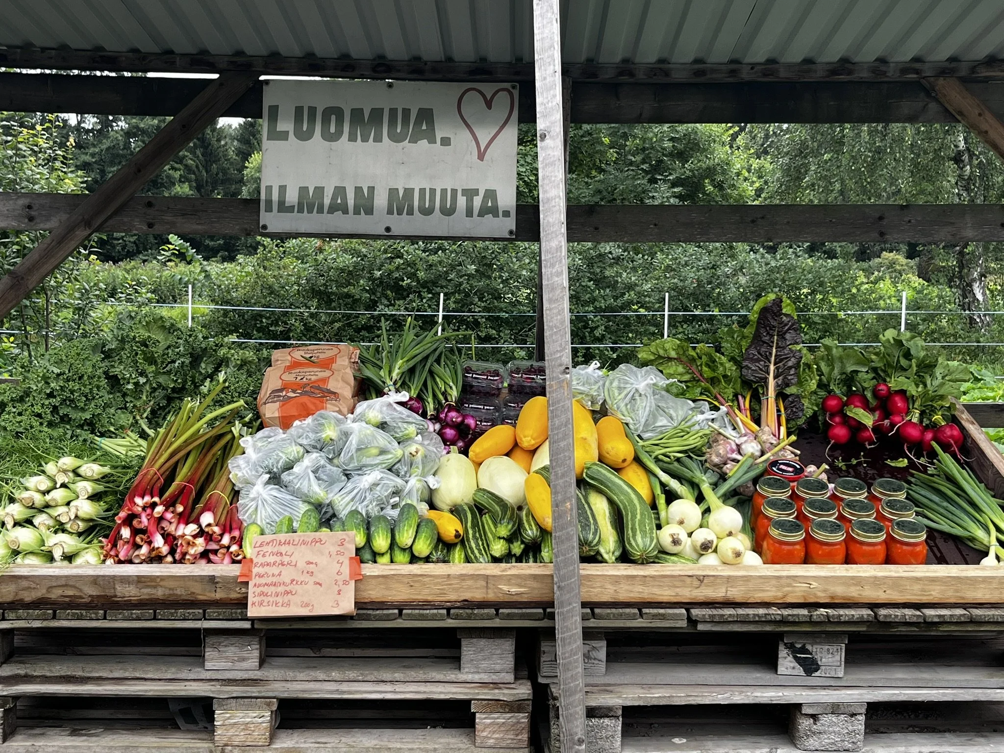 Luomukasvisten suoramyynti Herttoniemen pellolla