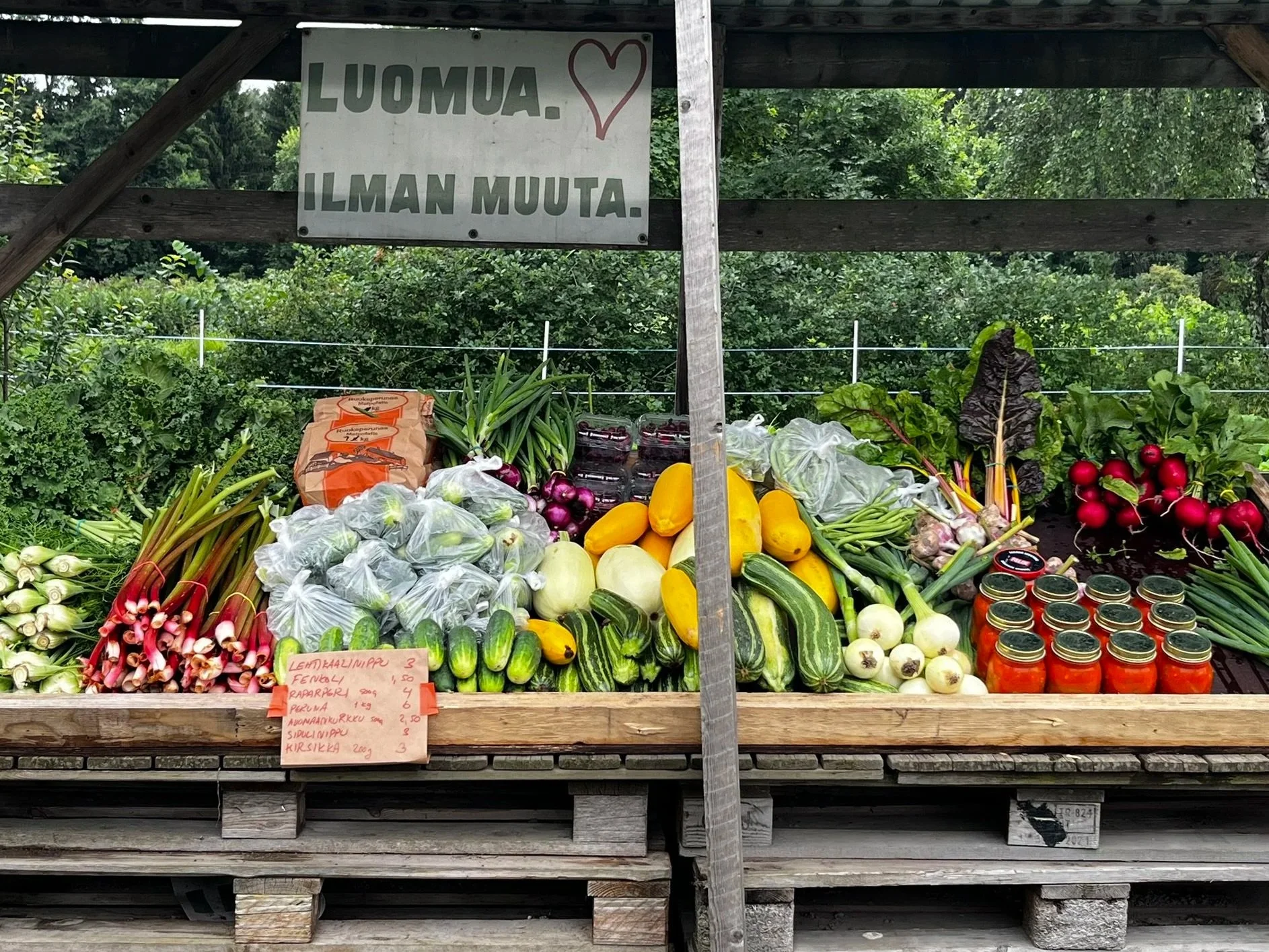 Luomukasvisten suoramyynti Herttoniemen pellolla