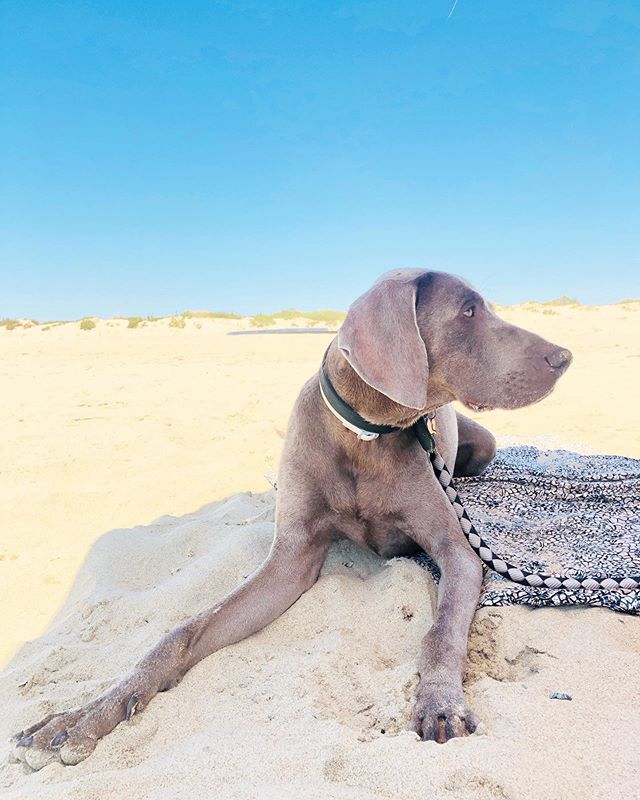 LuNa..❤️