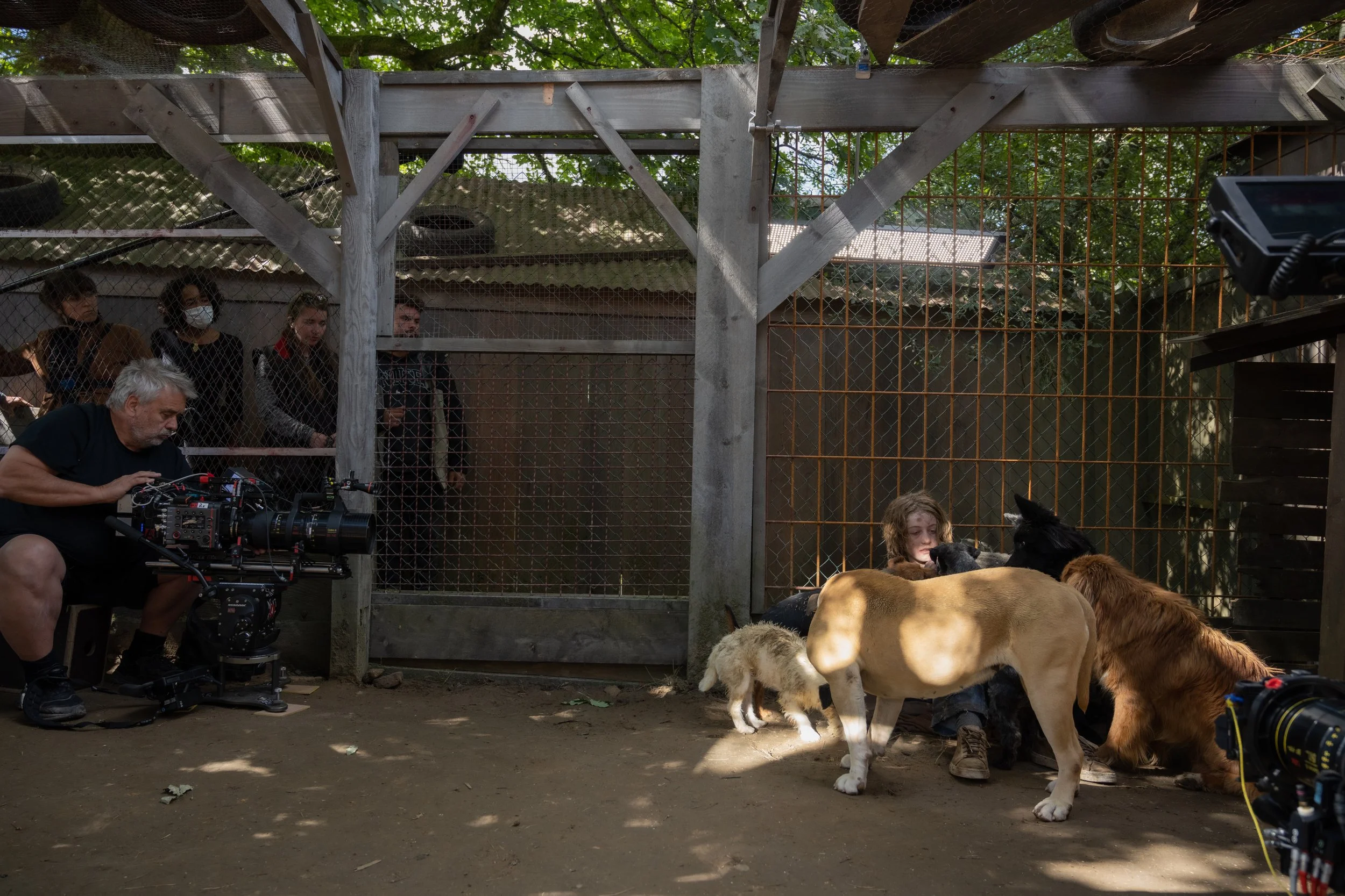 DOGMAN_MariaHeras_1Jul22-9727 copy.jpeg