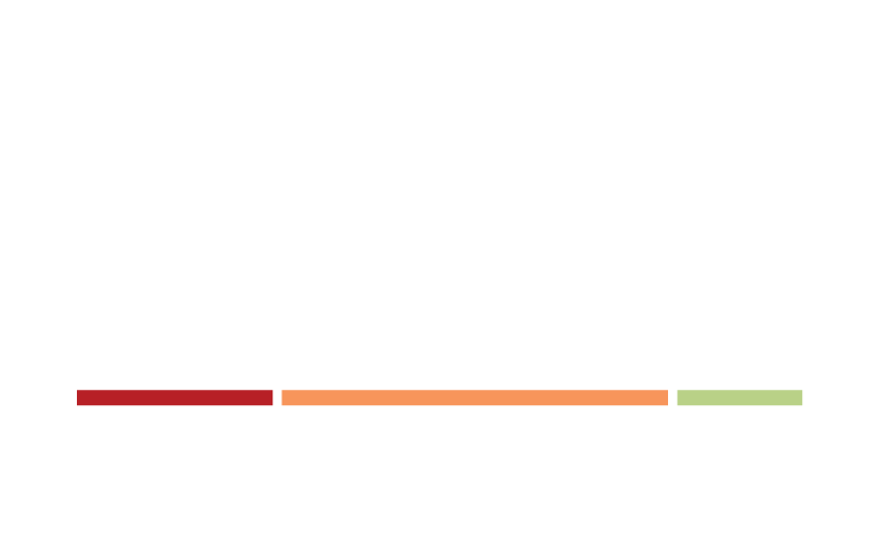 RMI Consulting