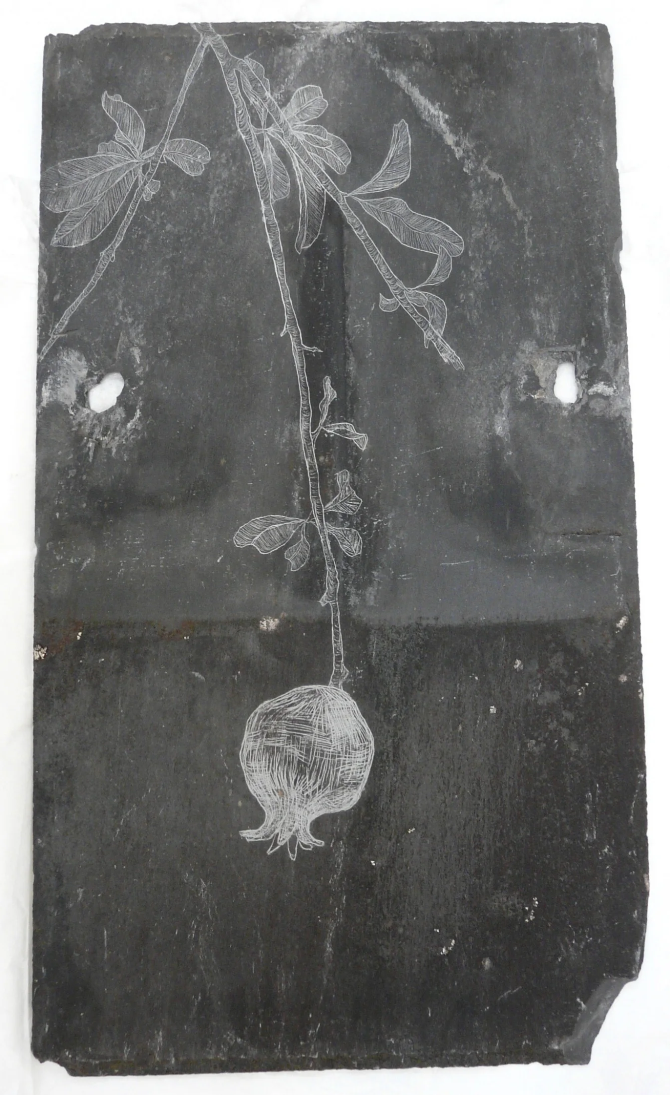 Pomegranate, Slate Engraving.