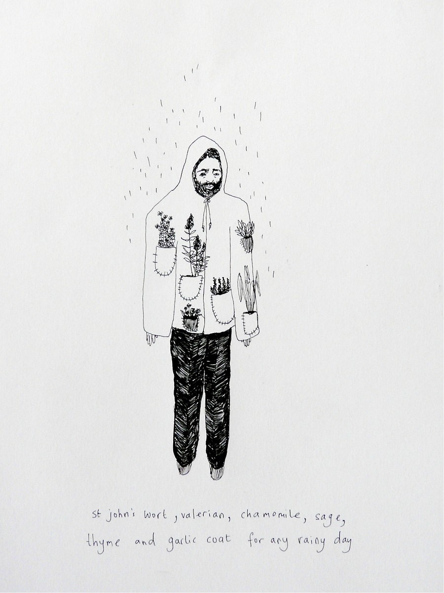 St john's wort, valerian, chamomile, sage, thyme and garlic coat for any rainy day, Plants & People Series.