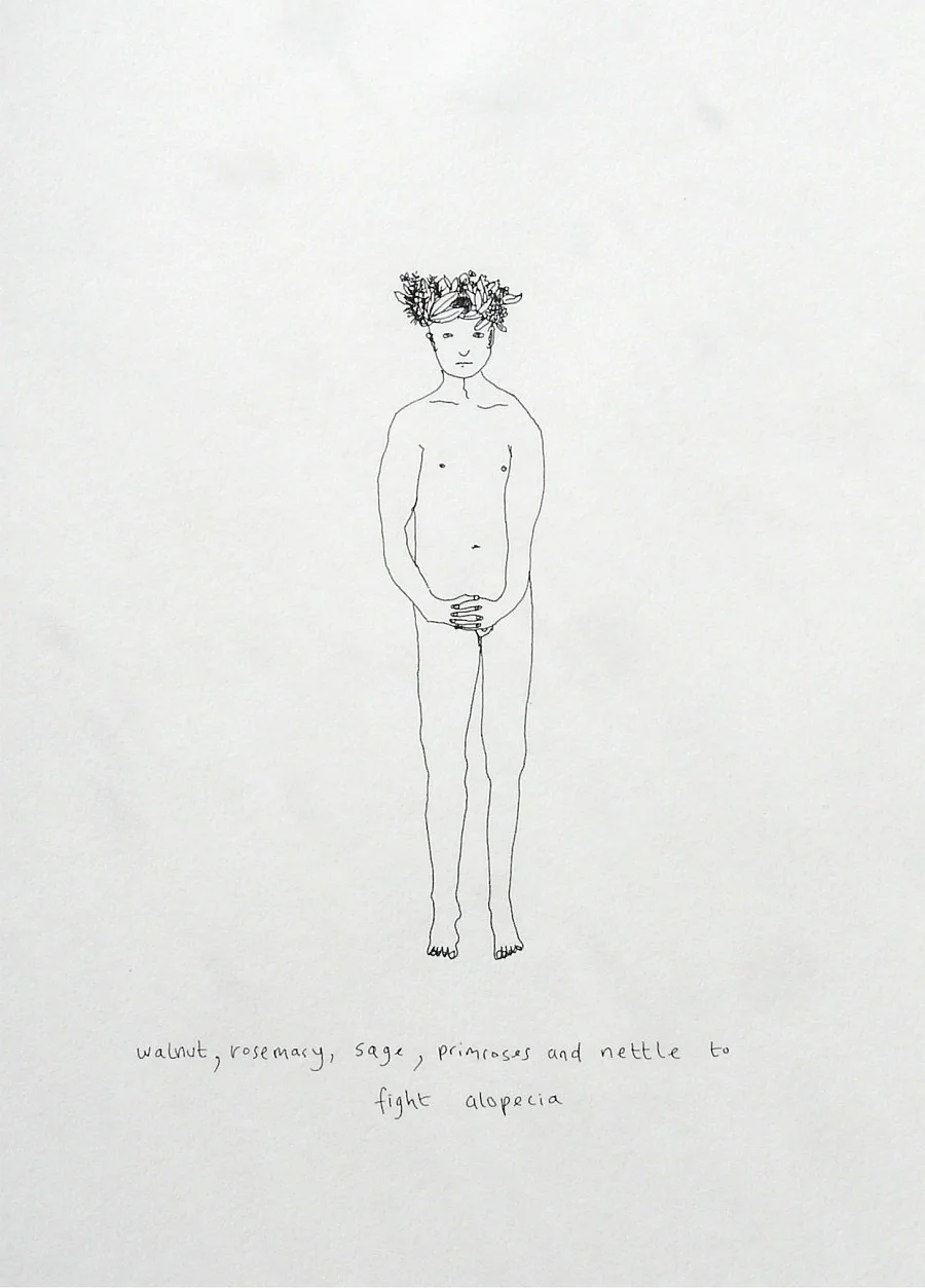 Walnut, rosemary, sage, primroses and nettle to fight alopecia, Plants & People Series.