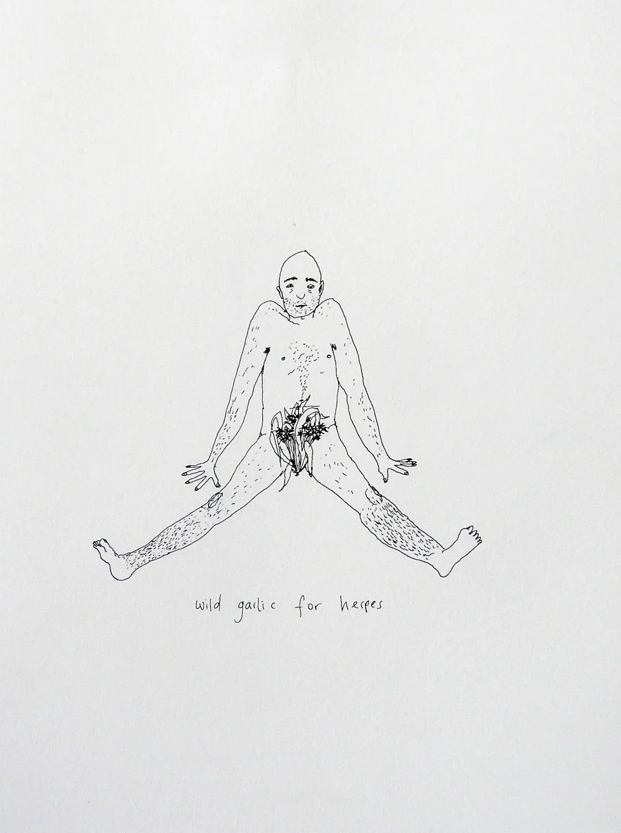 Wild garlic for herpes, Plants & People Series.