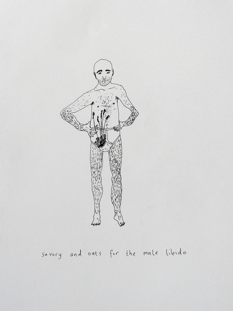 Savory and oats for the male libido, Plants & People Series.